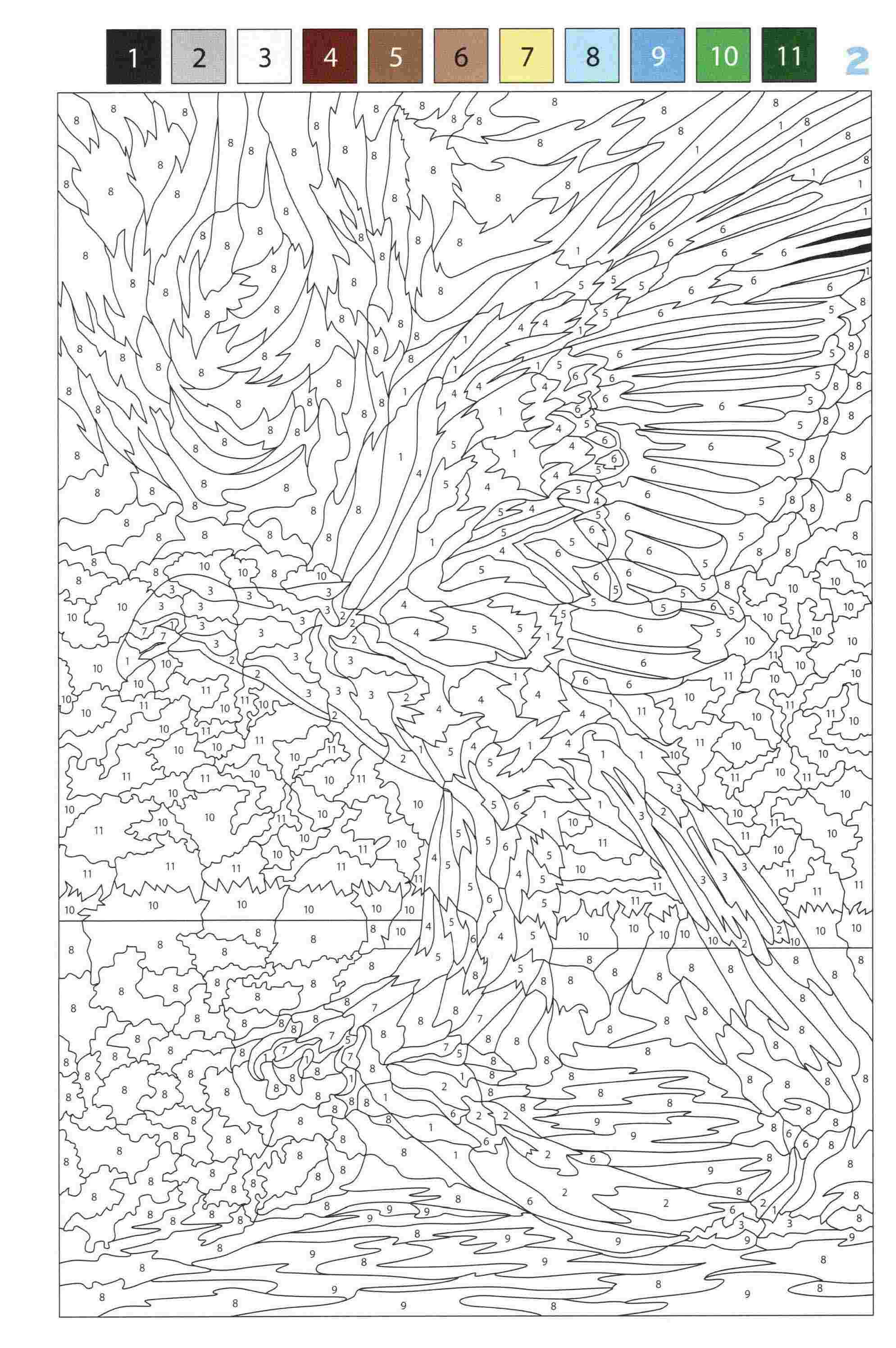 Раскраска Животные по номерам 2