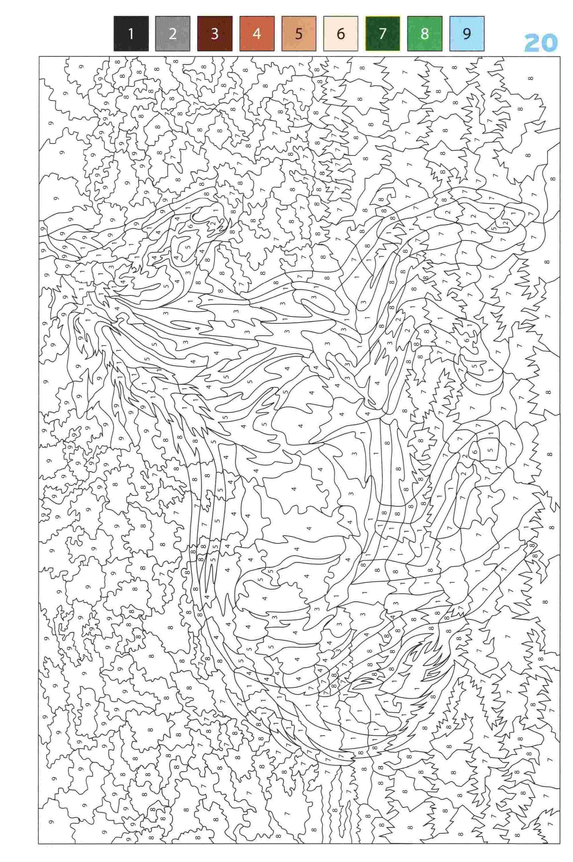 Раскраска Животные по номерам 20