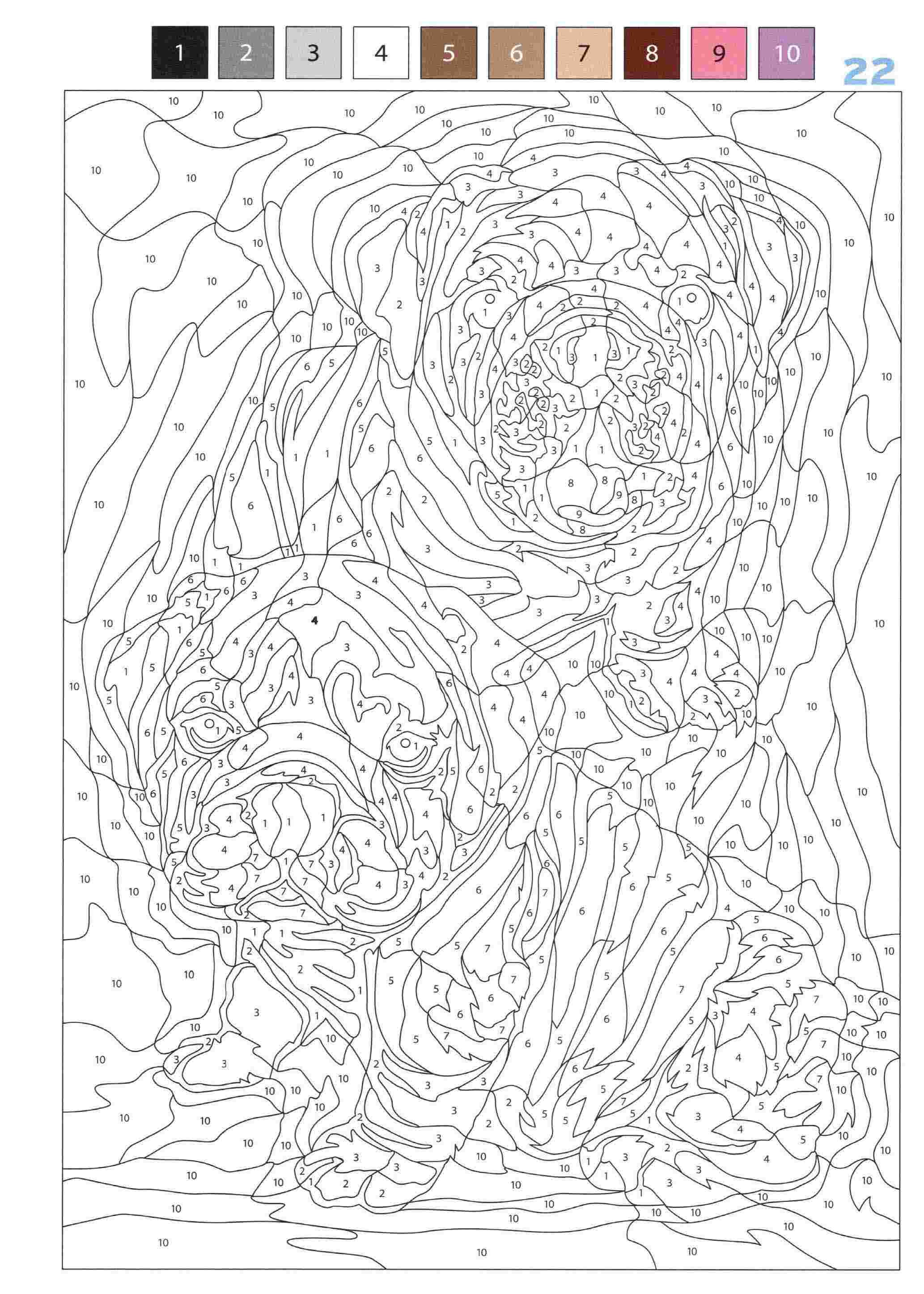 Раскраска Животные по номерам 22