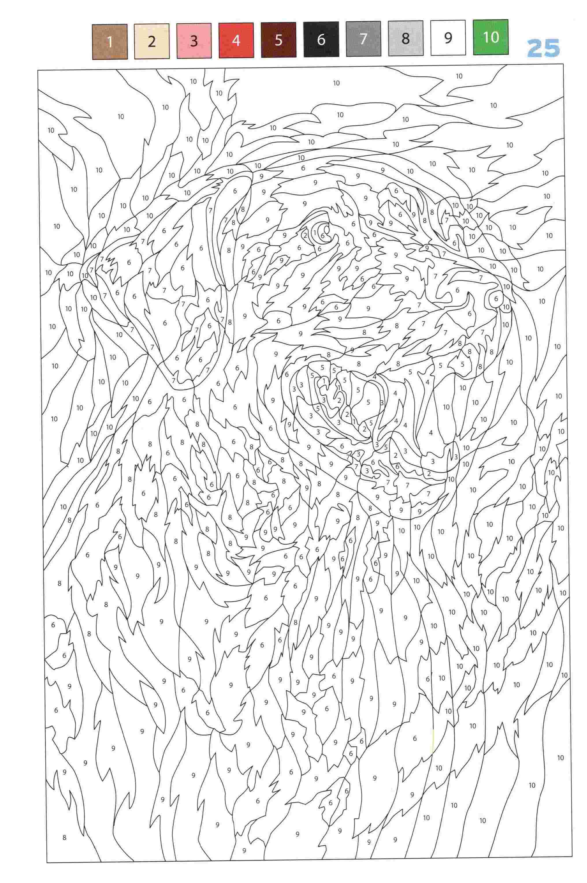 Раскраска Животные по номерам 25