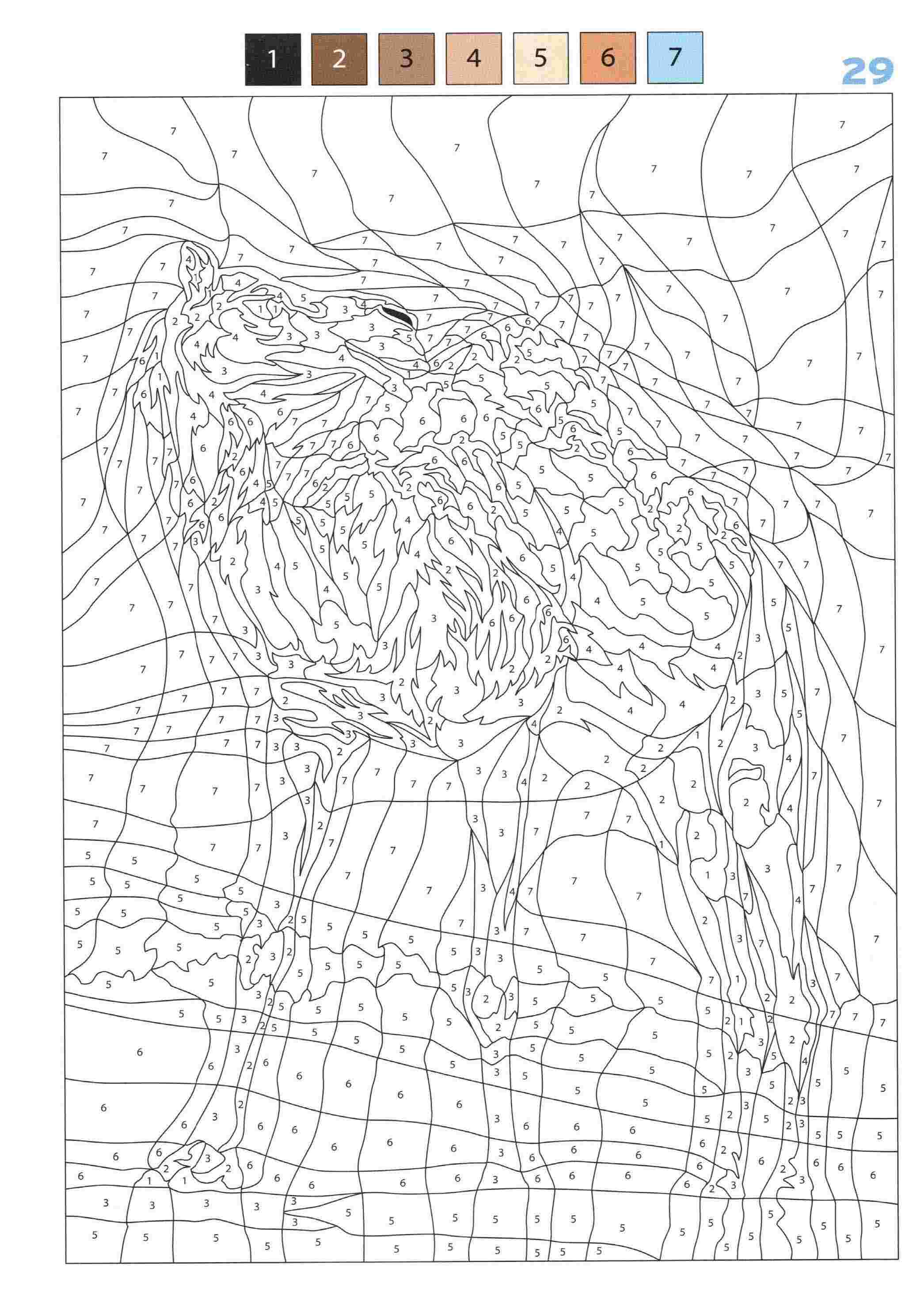 Раскраска Животные по номерам 29