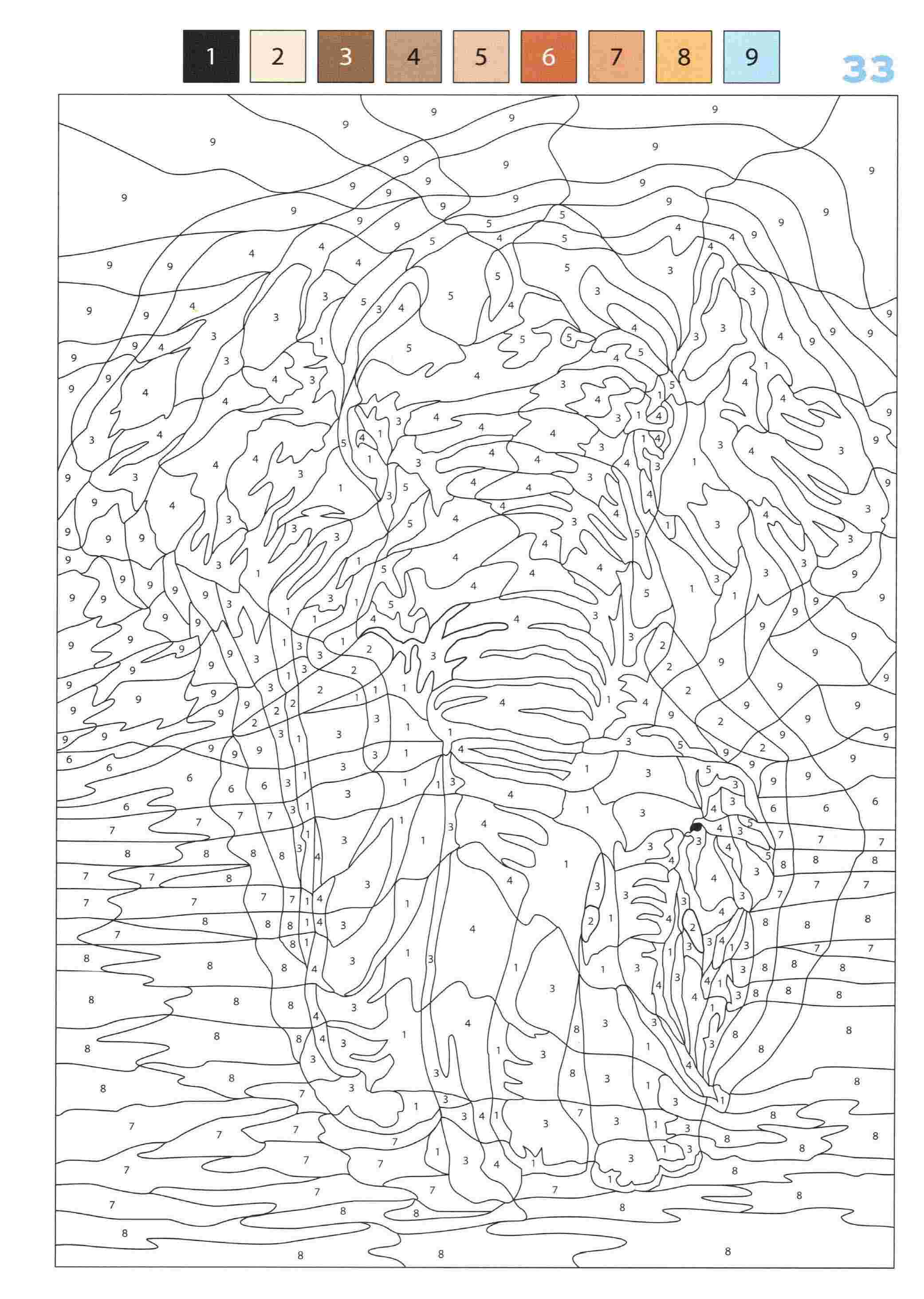 Раскраска Животные по номерам 33