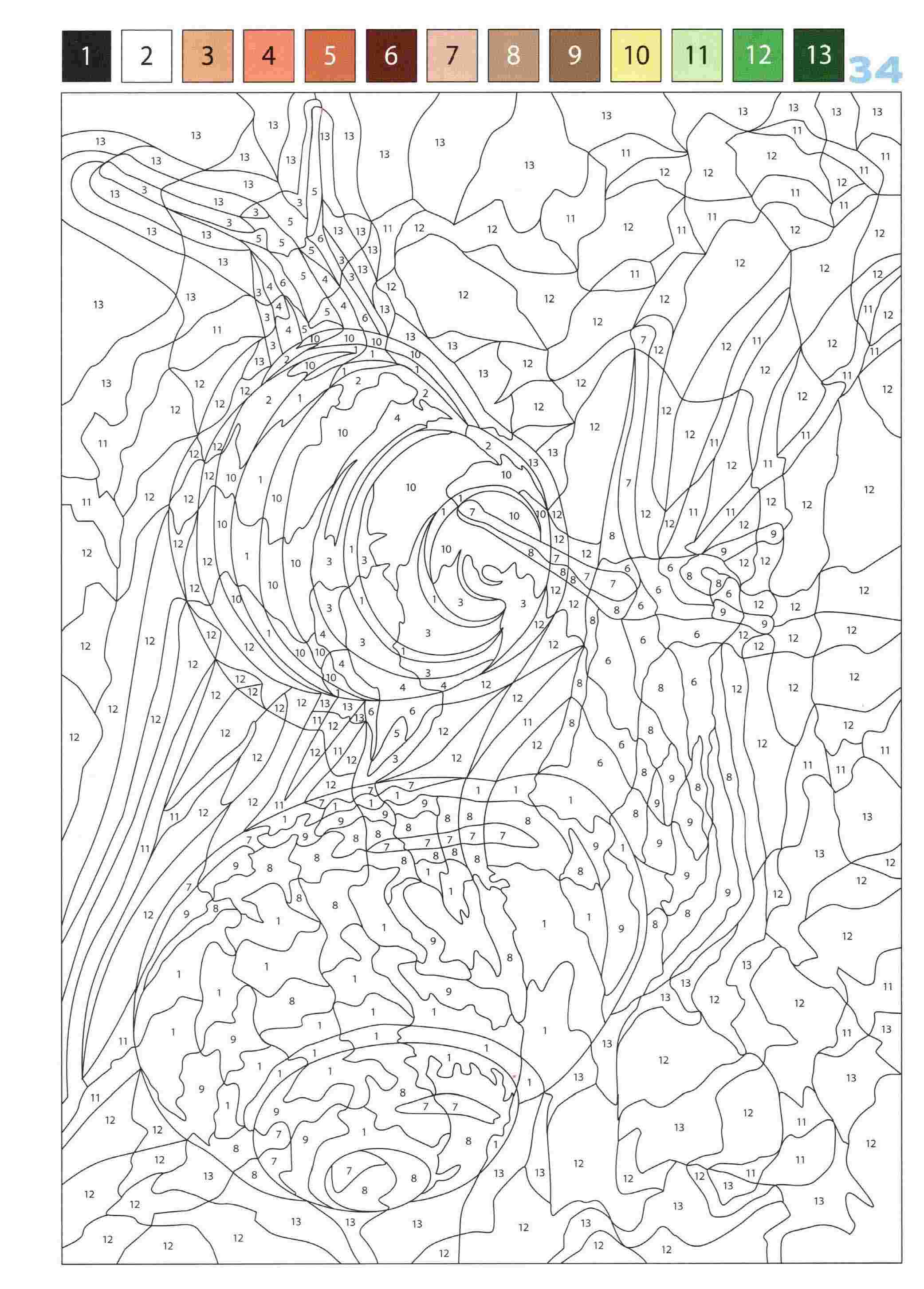 Раскраска Животные по номерам 34