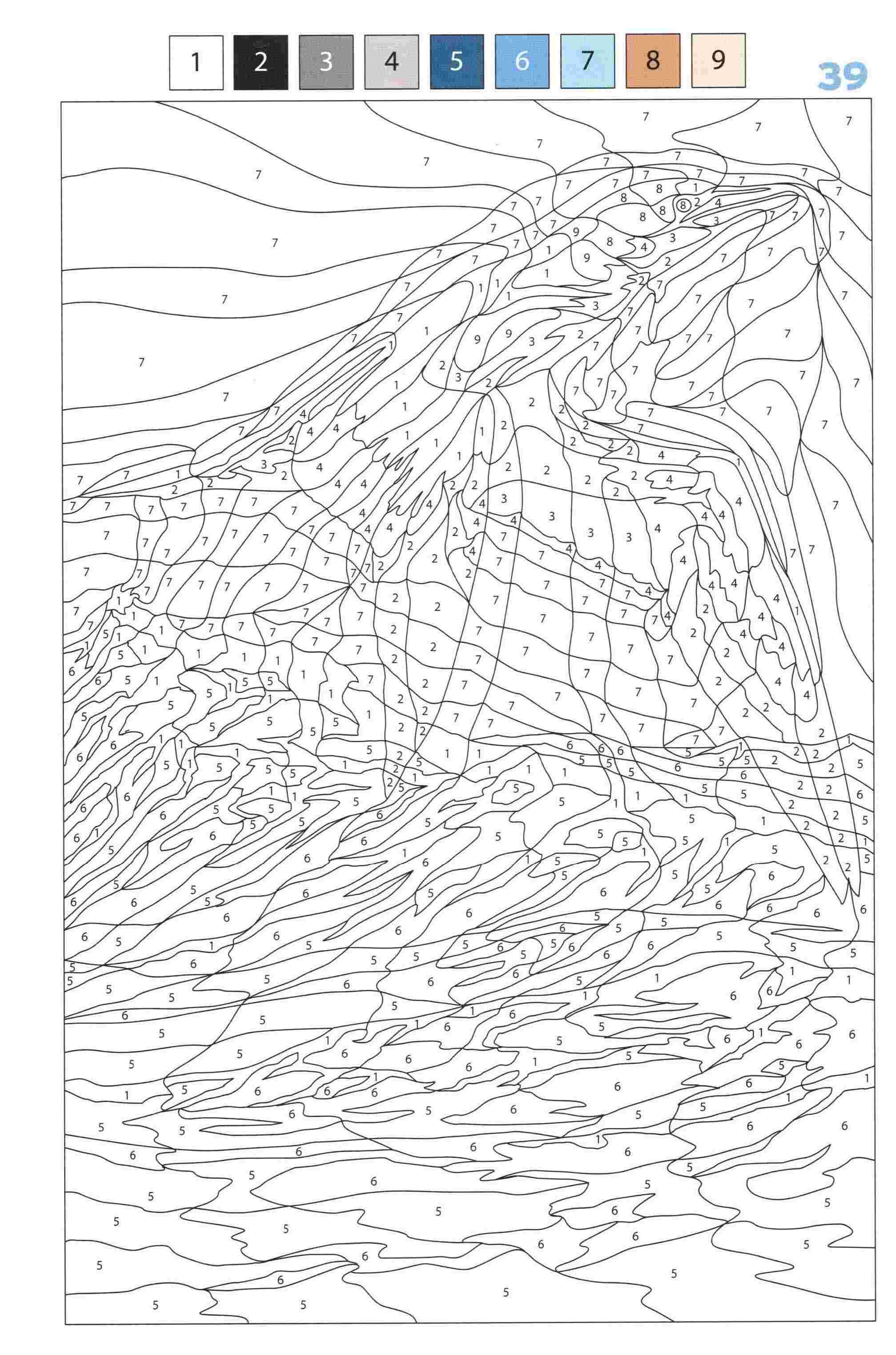 Раскраска Животные по номерам 39