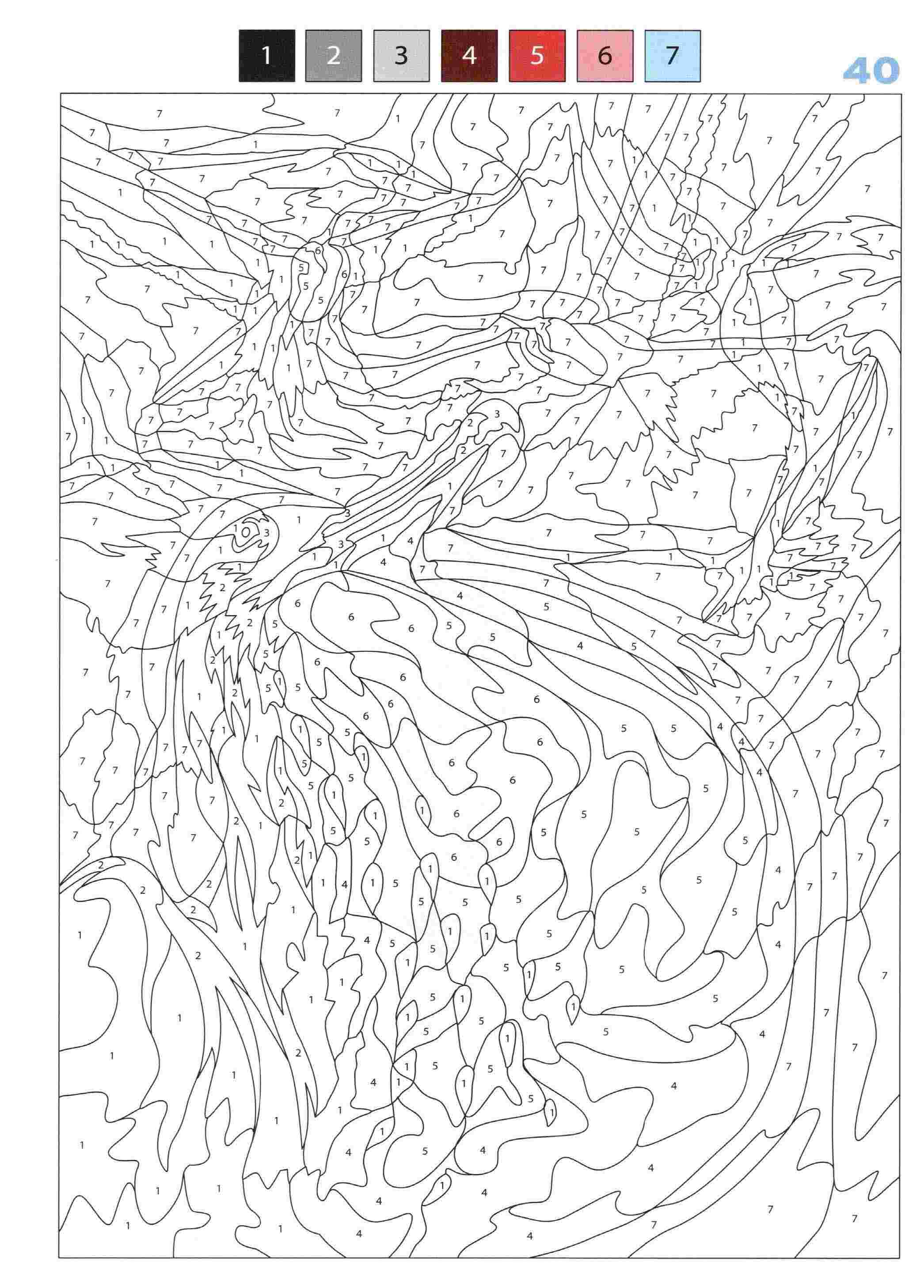 Раскраска Животные по номерам 40