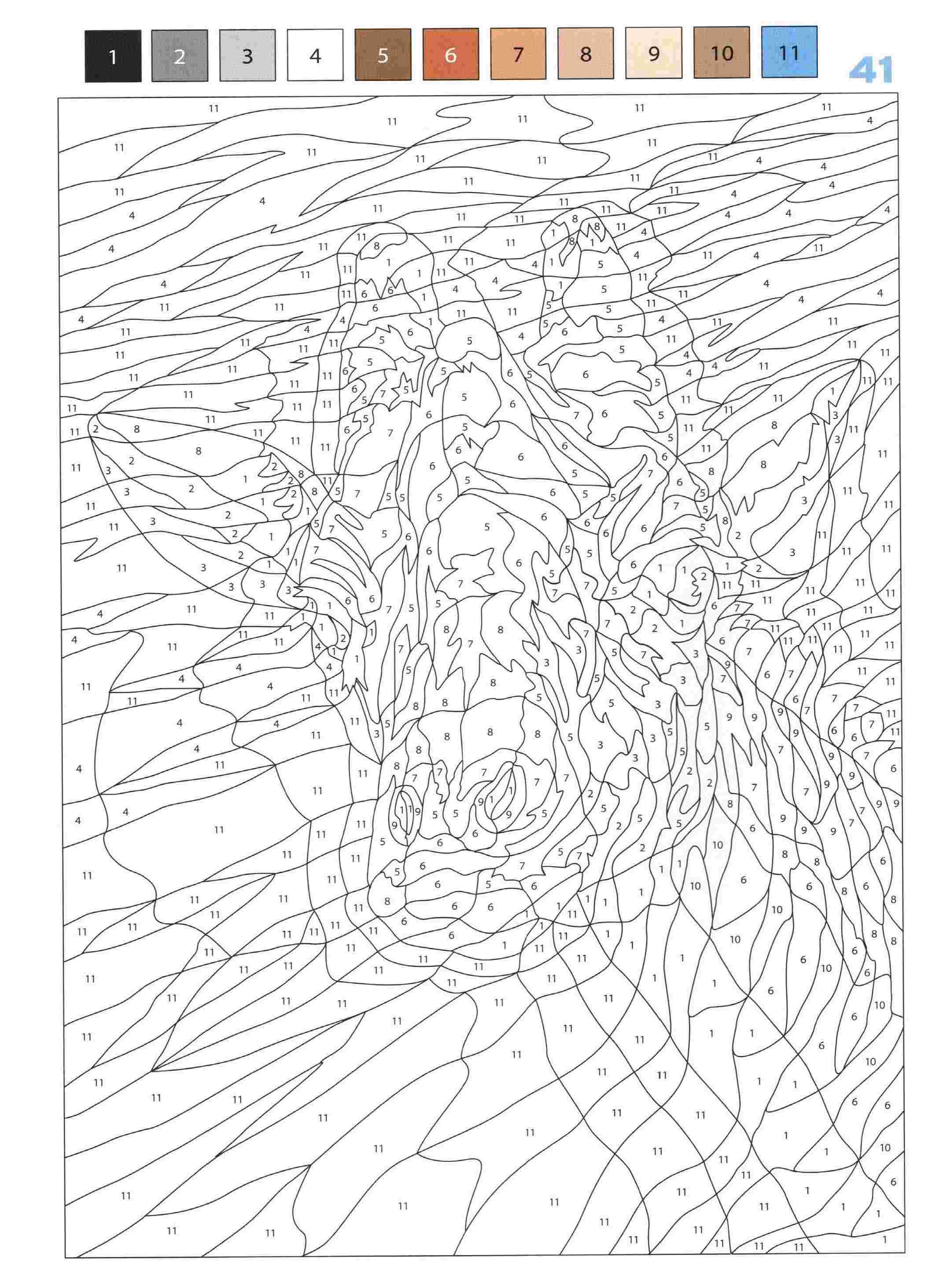 Раскраска Животные по номерам 41