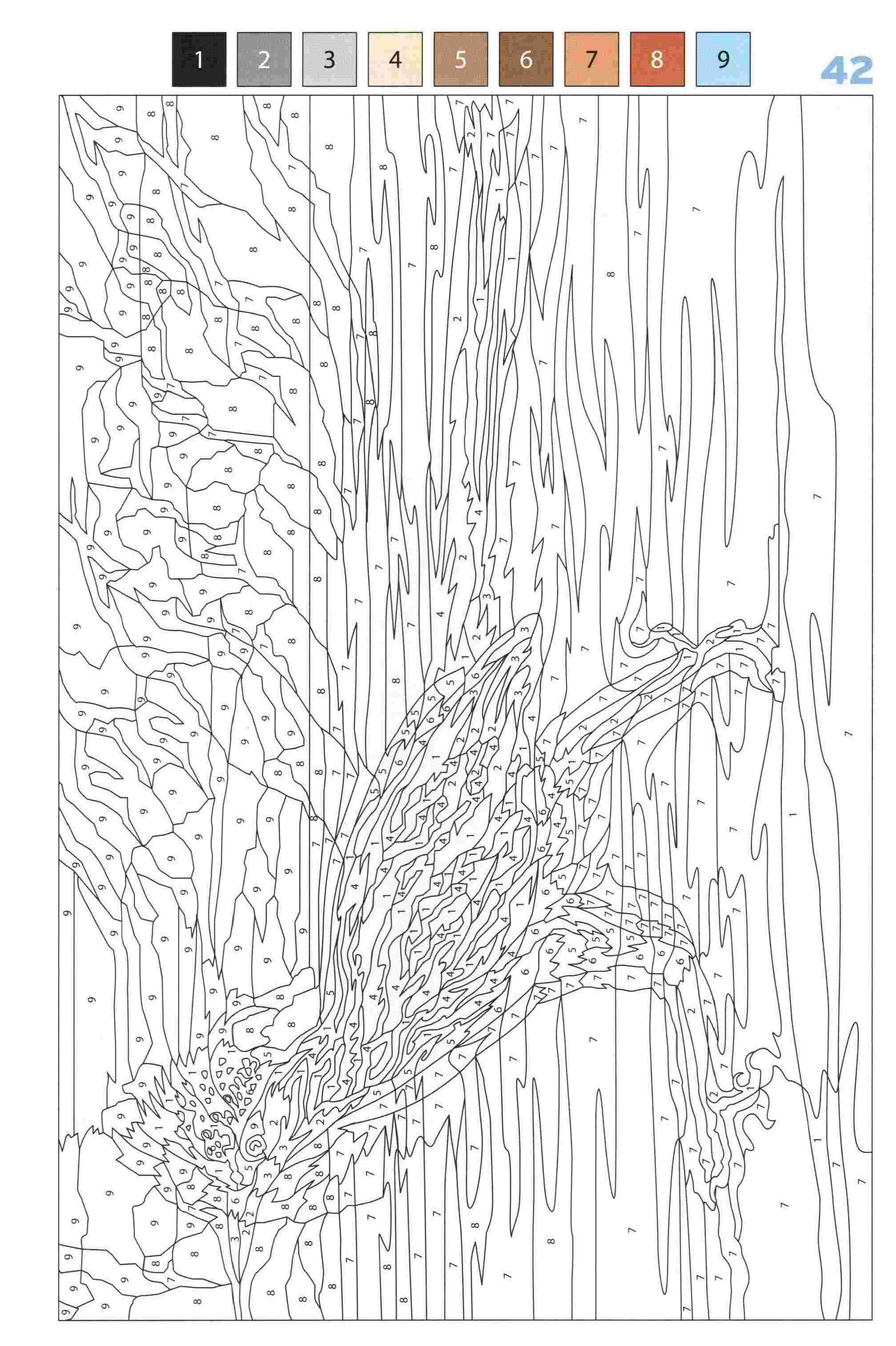 Раскраска Животные по номерам 42