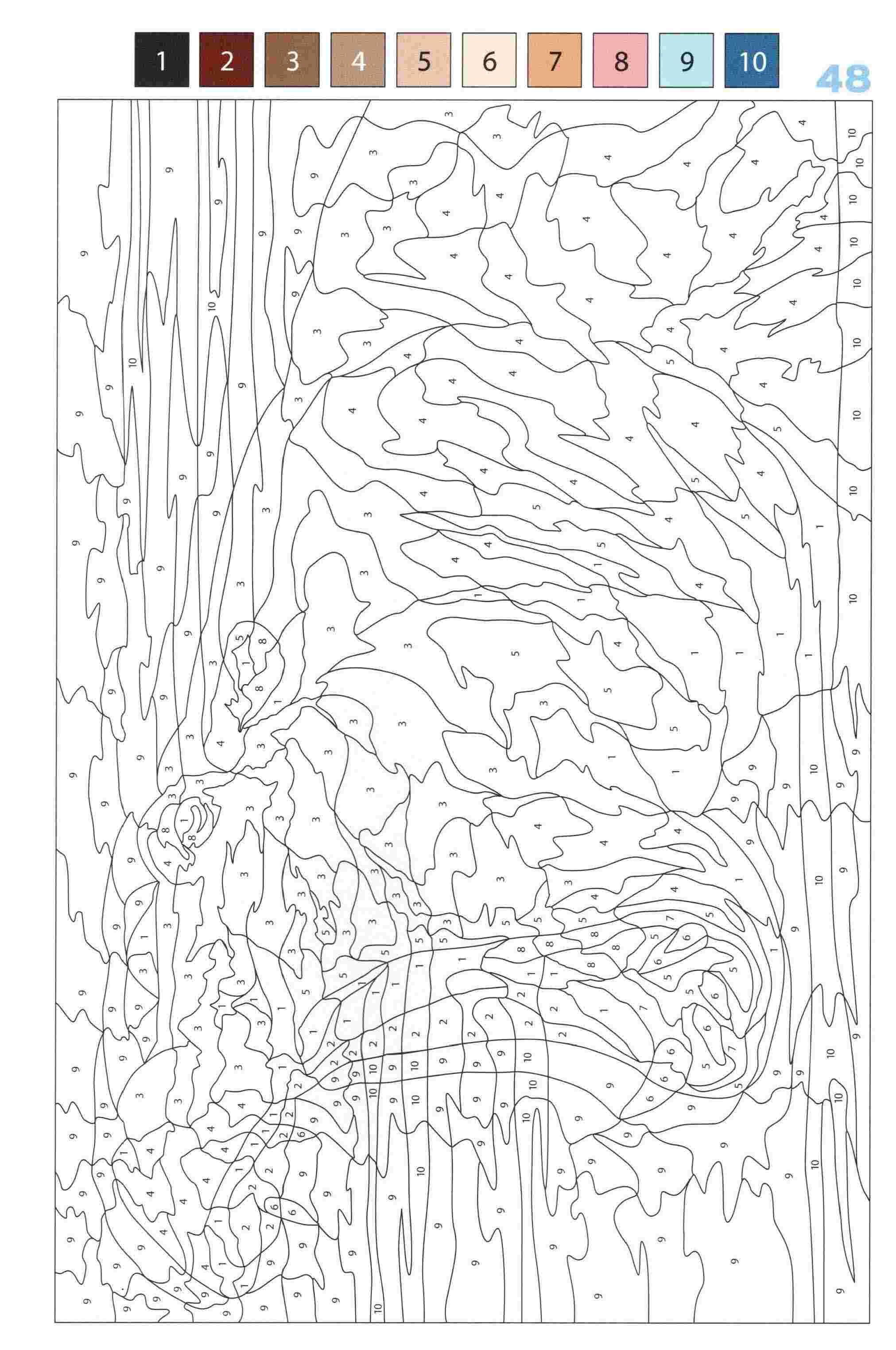 Раскраска Животные по номерам 48