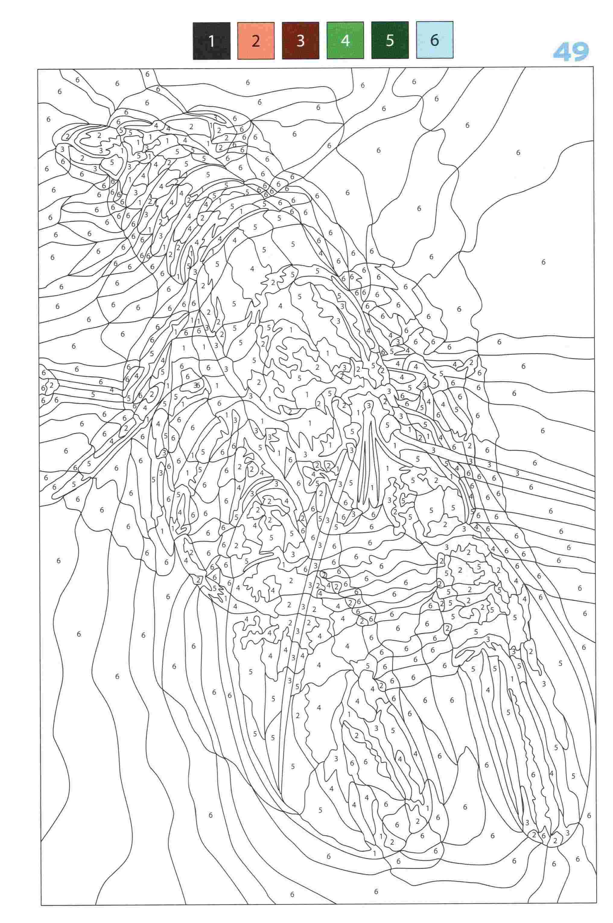 Раскраска Животные по номерам 49
