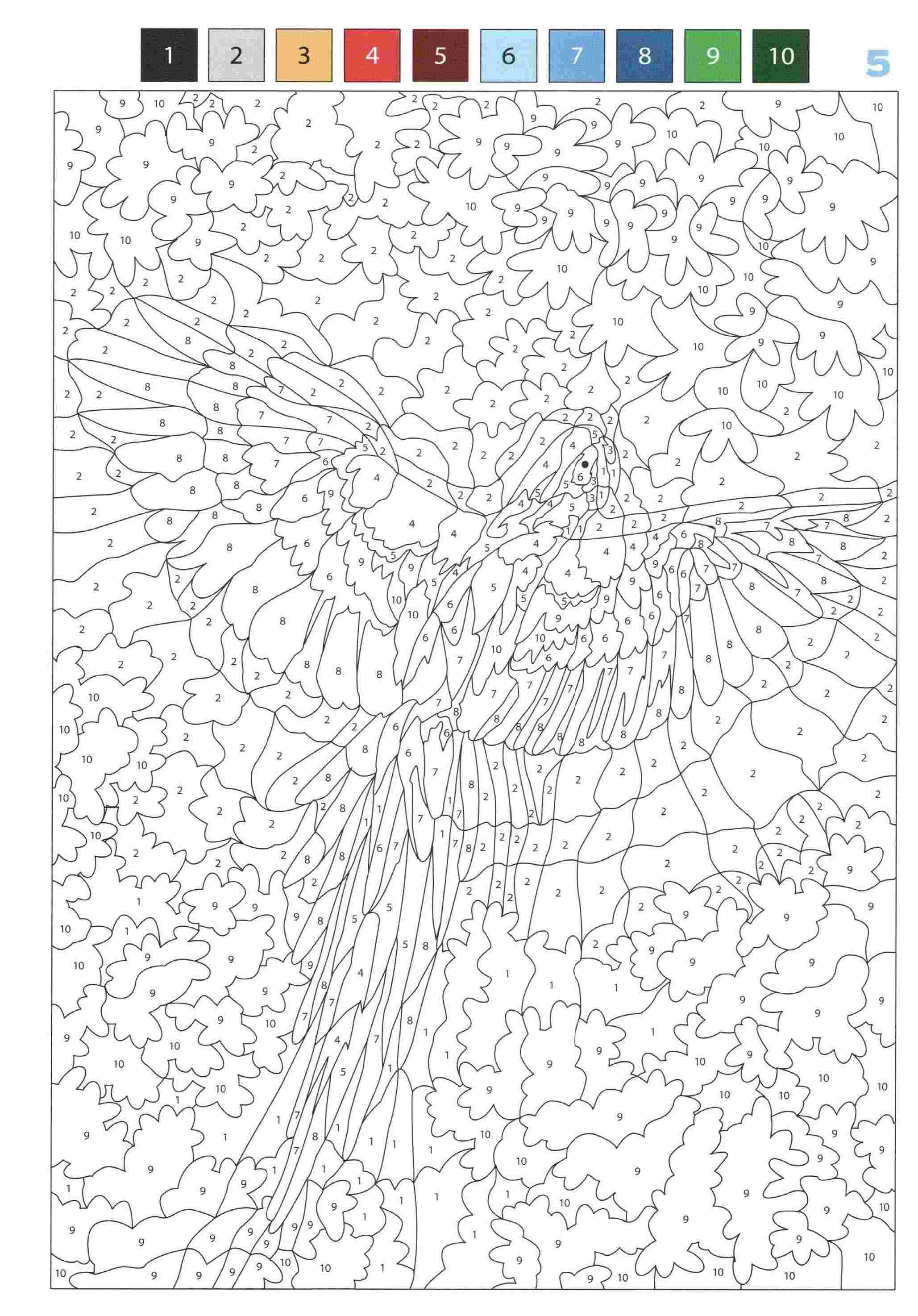 Раскраска Животные по номерам 5