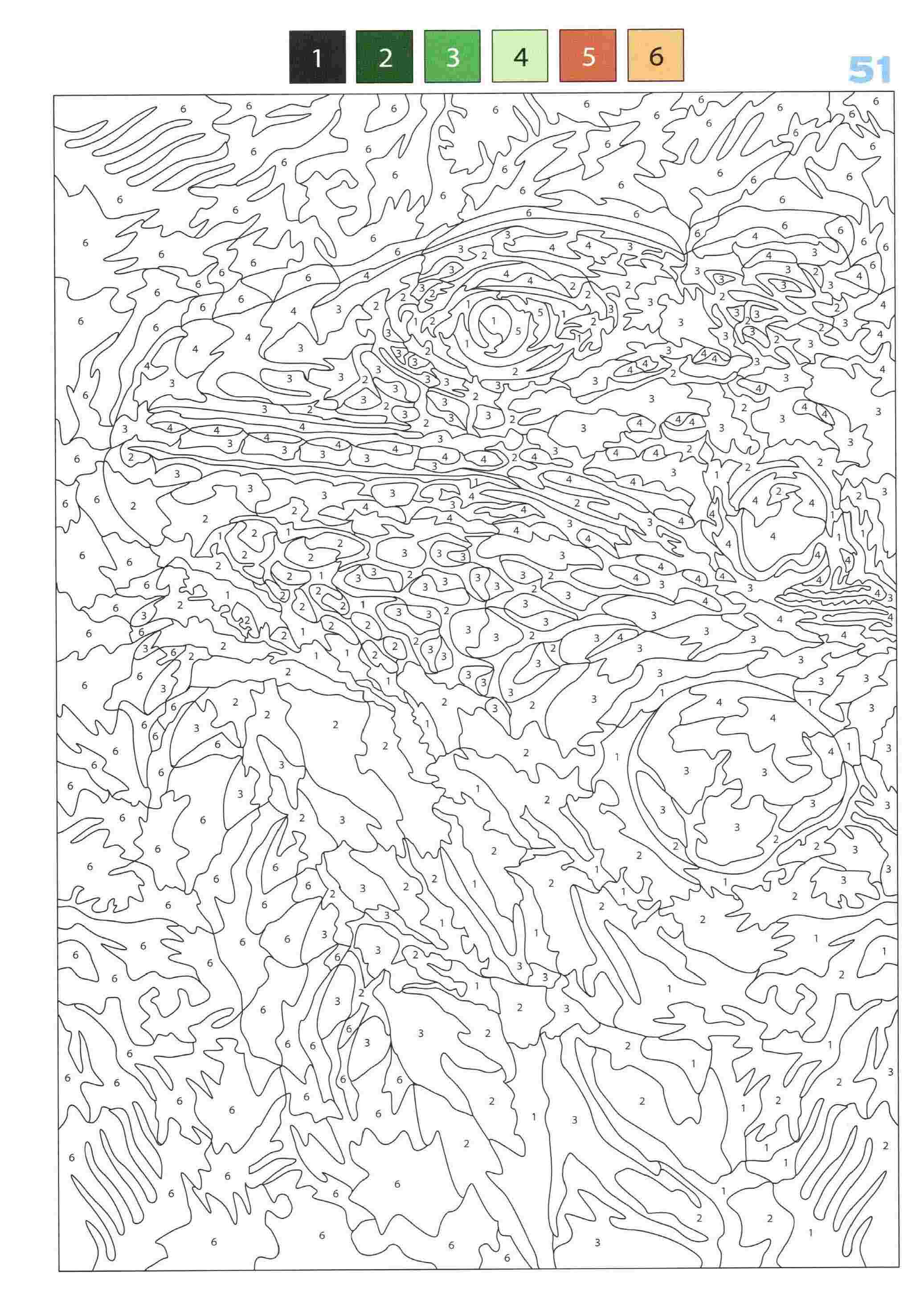 Раскраска Животные по номерам 51