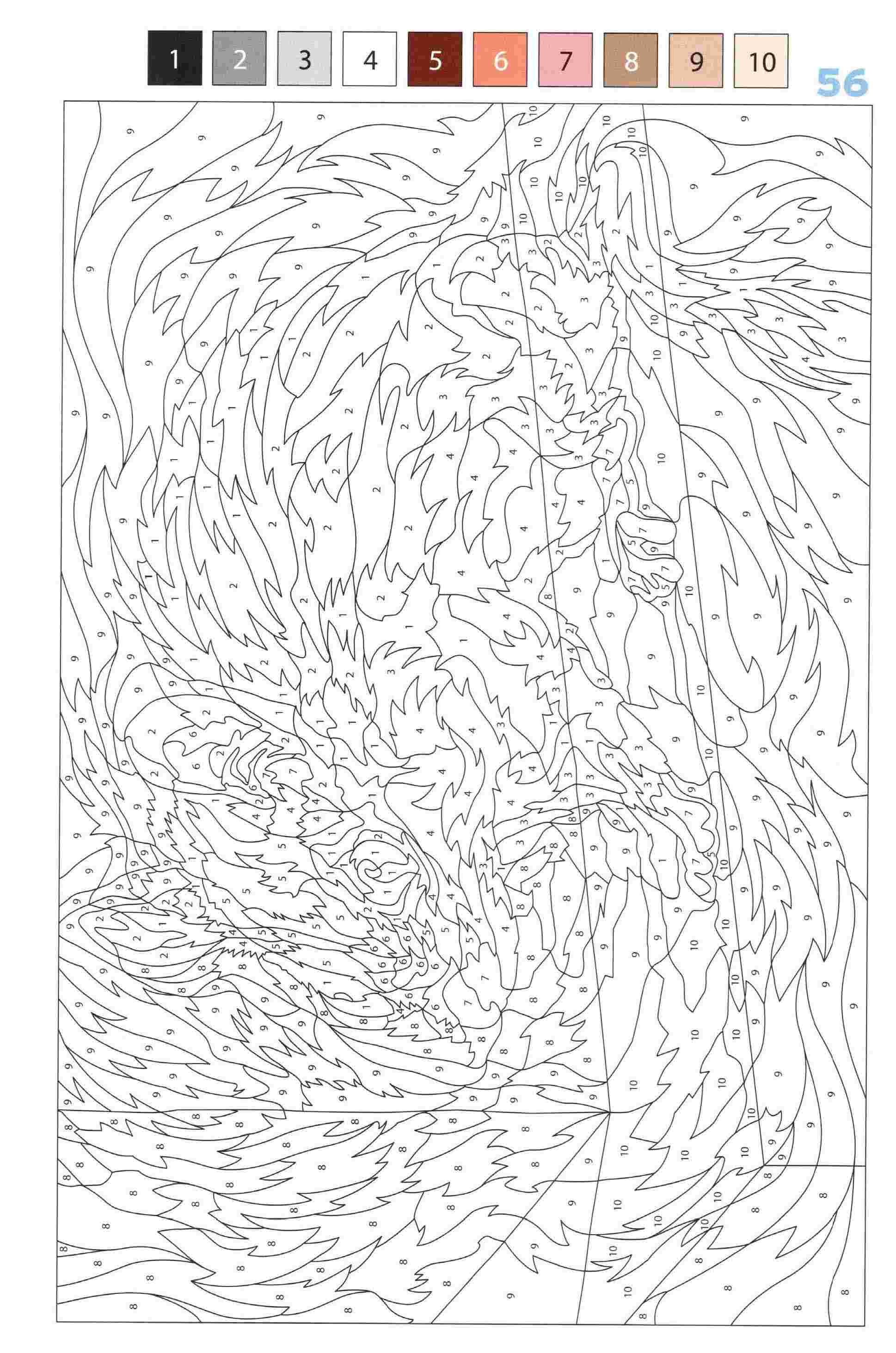 Раскраска Животные по номерам 56