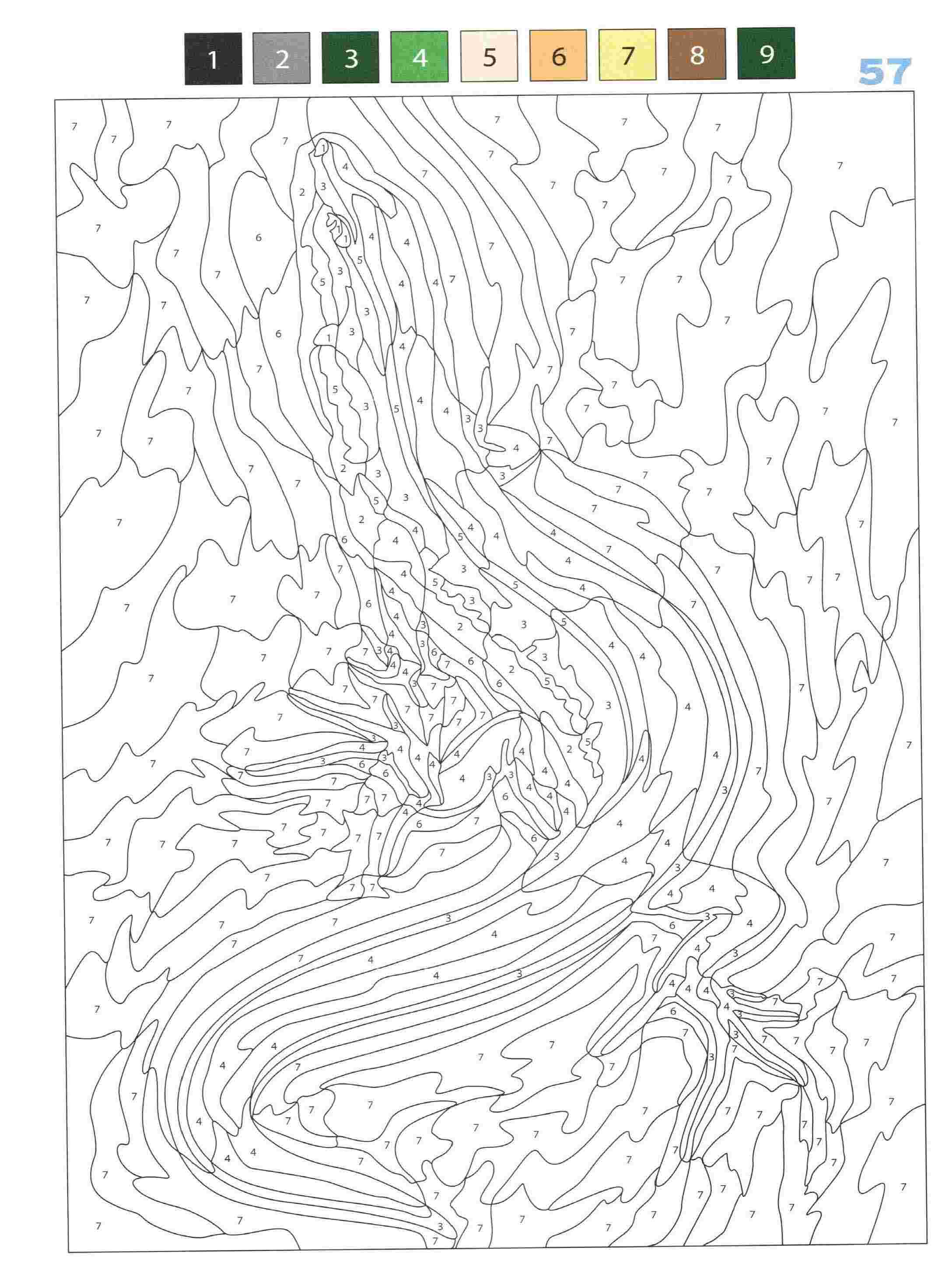 Раскраска Животные по номерам 57