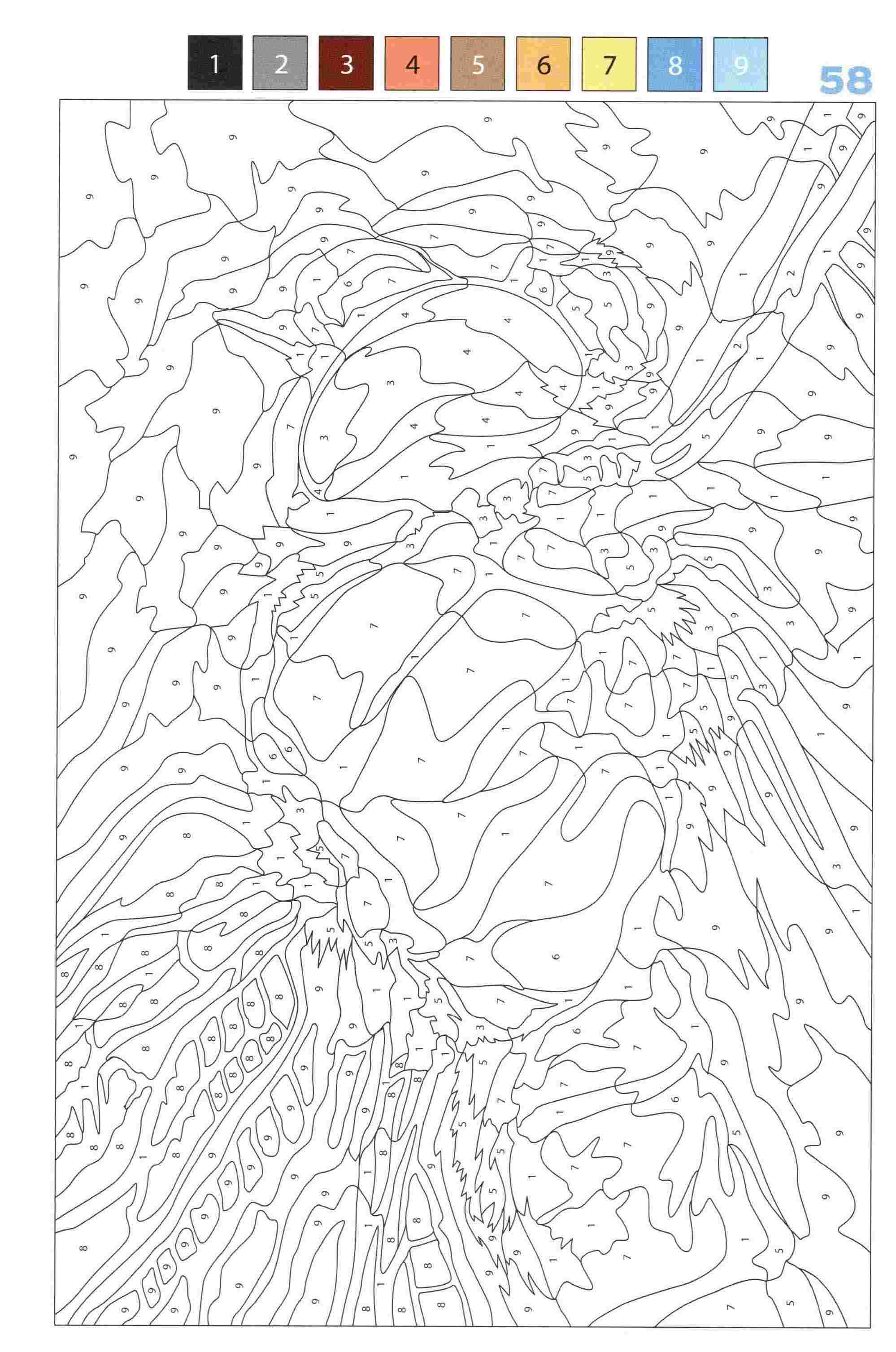 Раскраска Животные по номерам 58