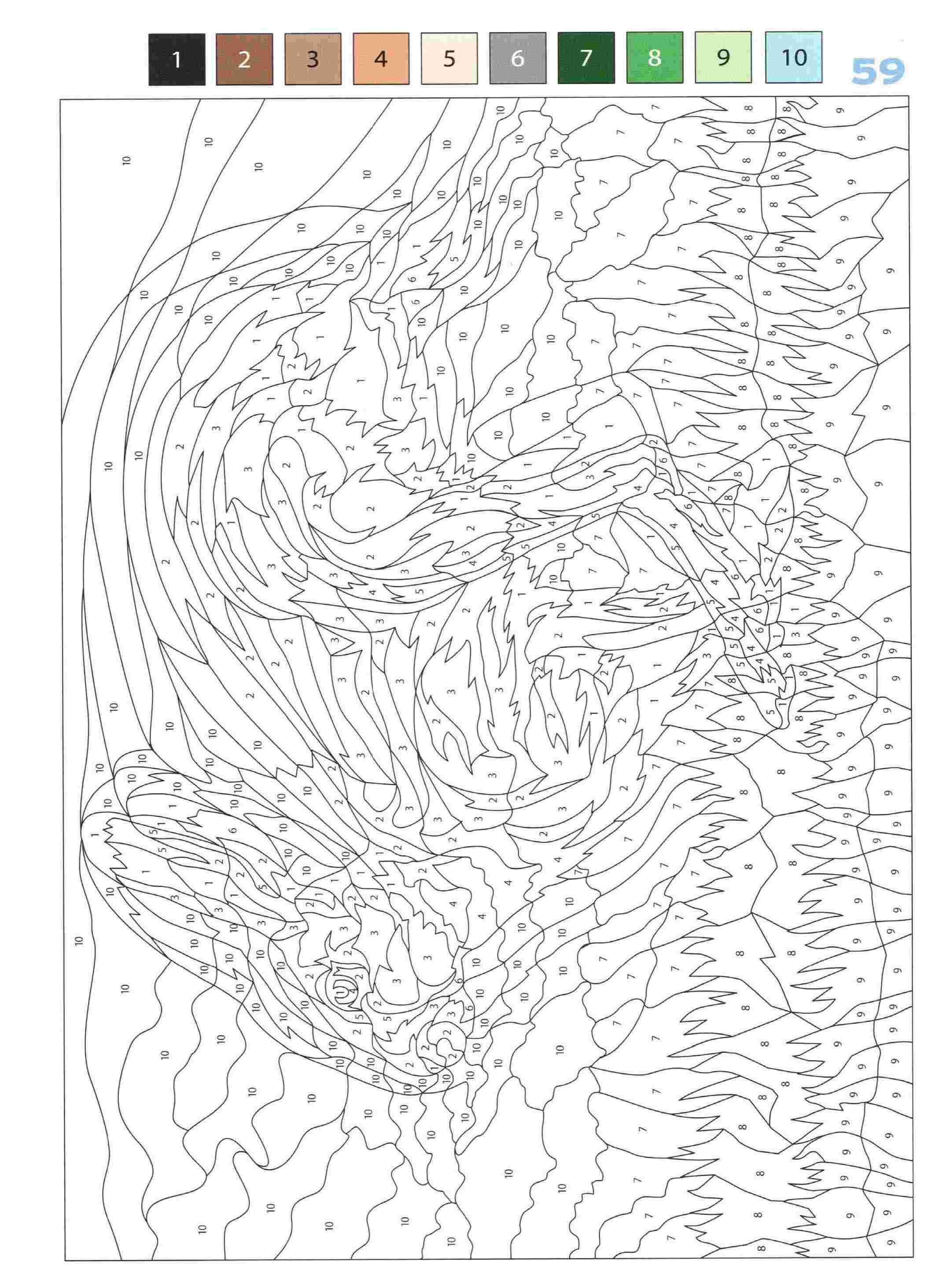 Раскраска Животные по номерам 59