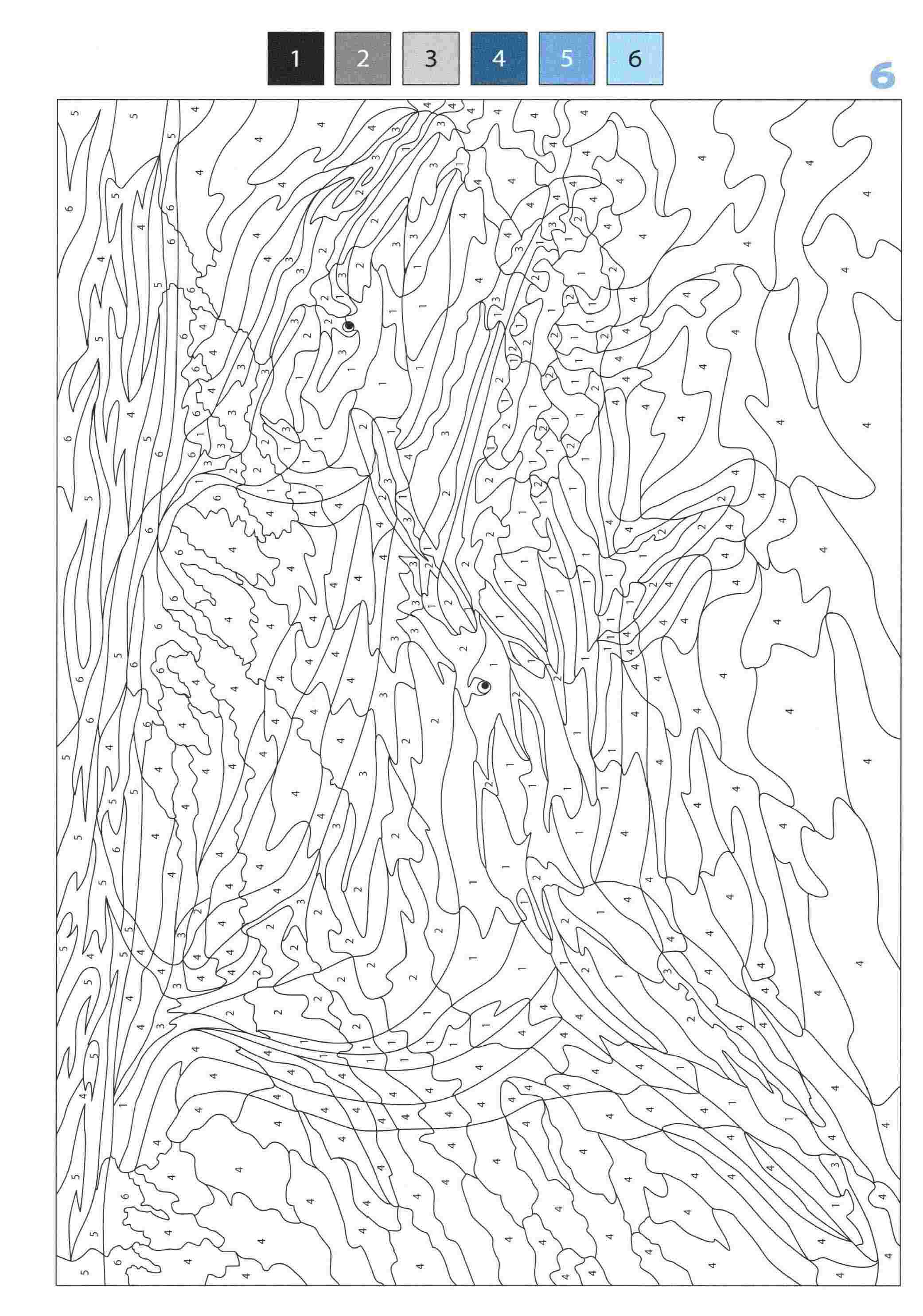 Раскраска Животные по номерам 6