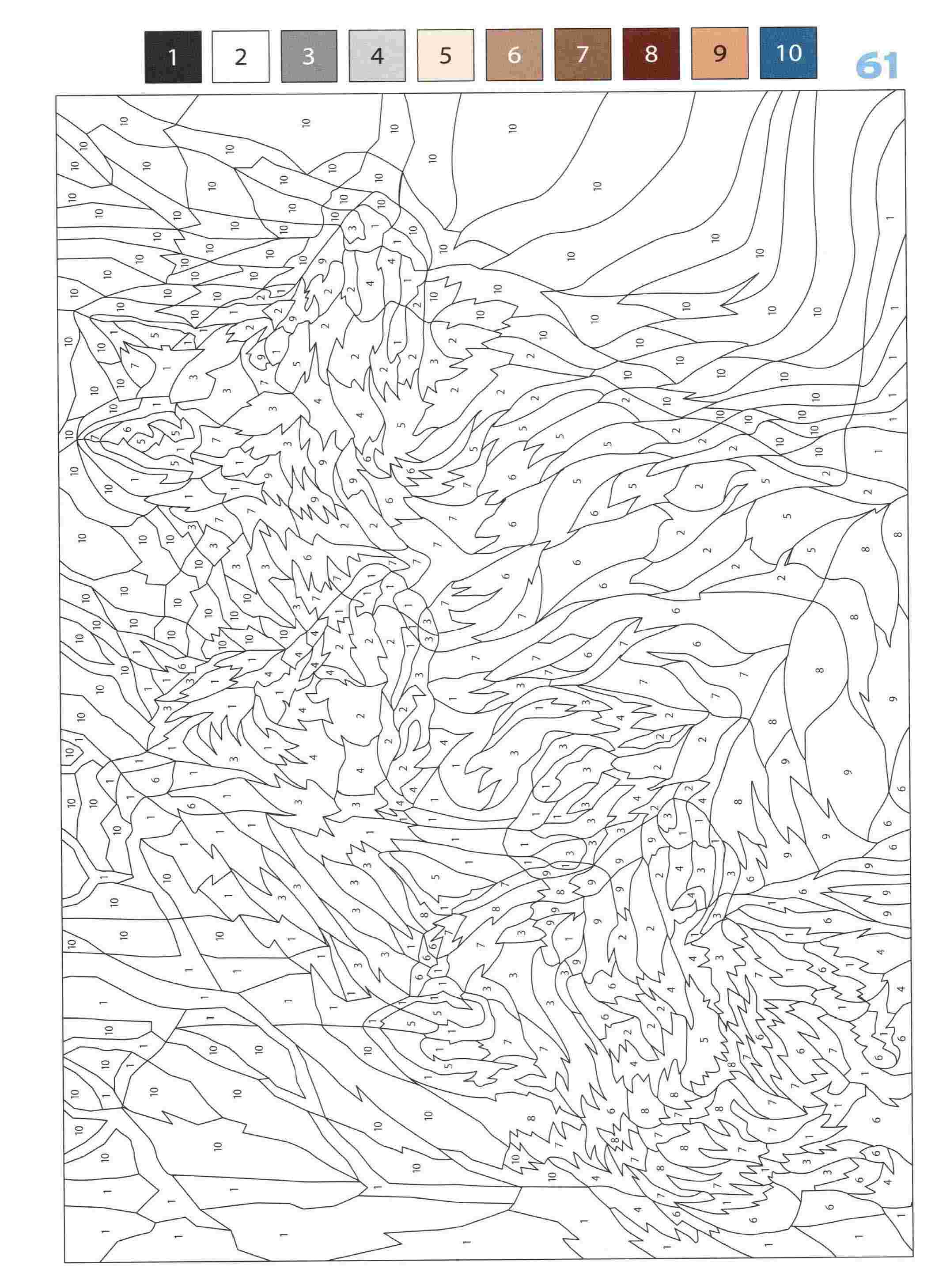 Раскраска Животные по номерам 61