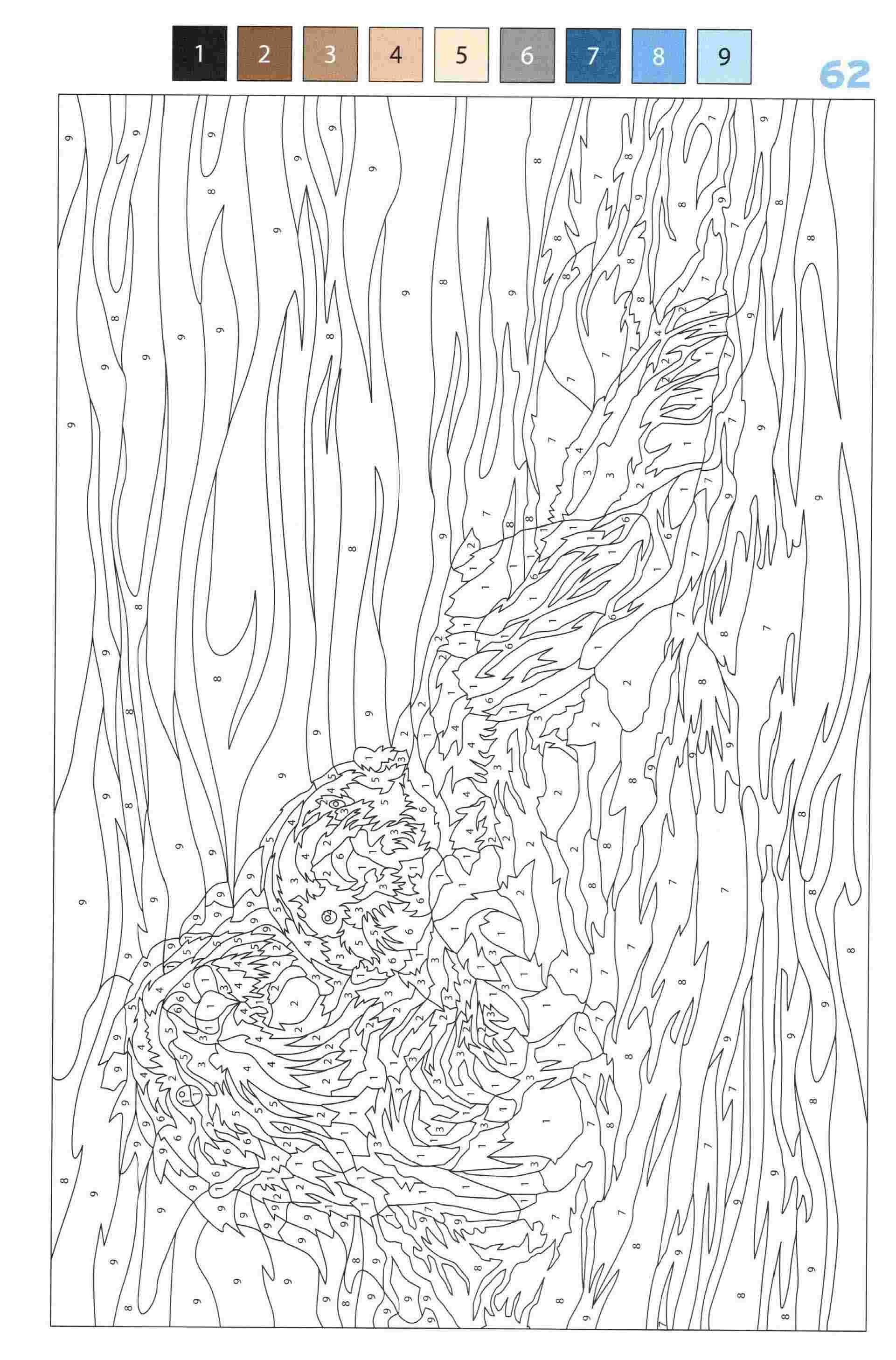 Раскраска Животные по номерам 62