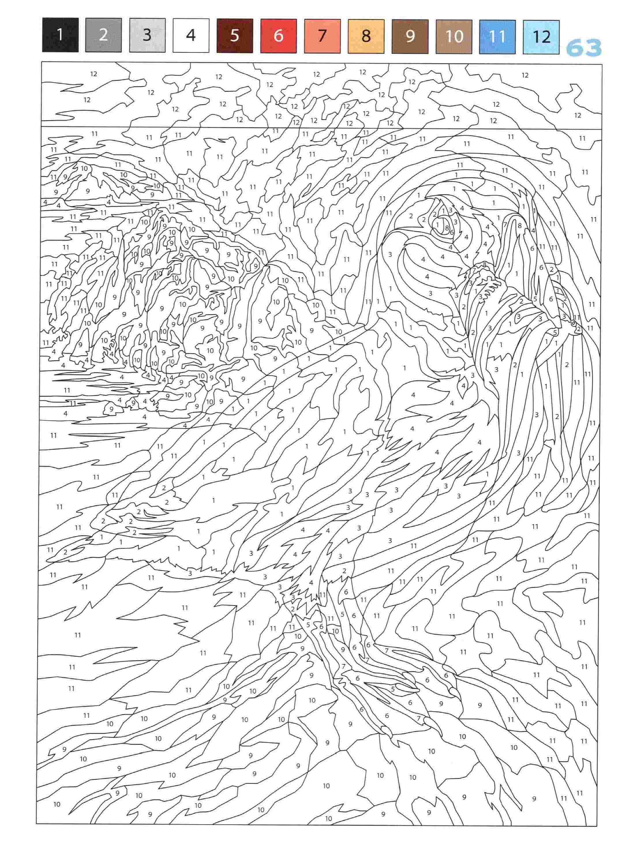 Раскраска Животные по номерам 63