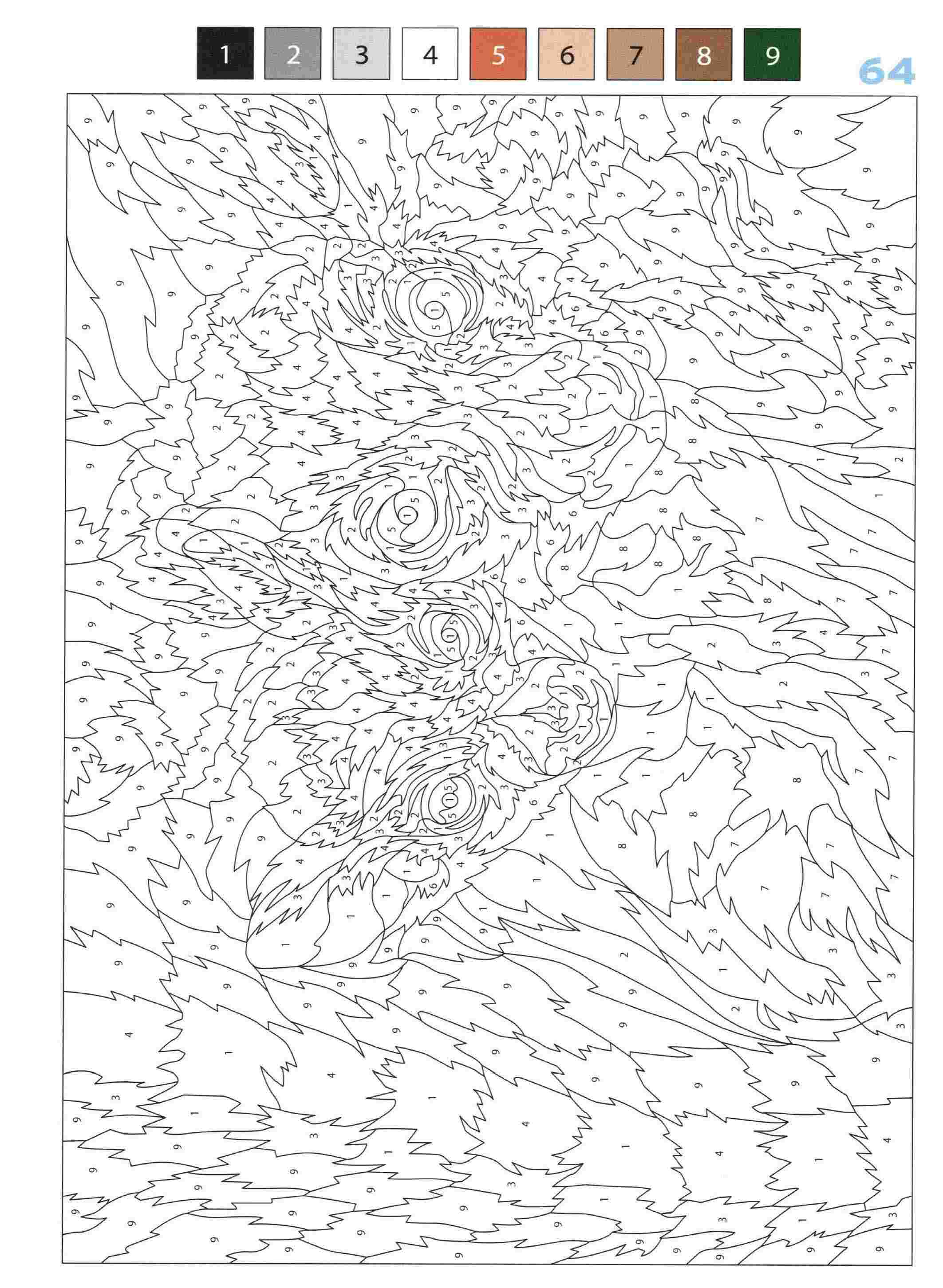Раскраска Животные по номерам 64
