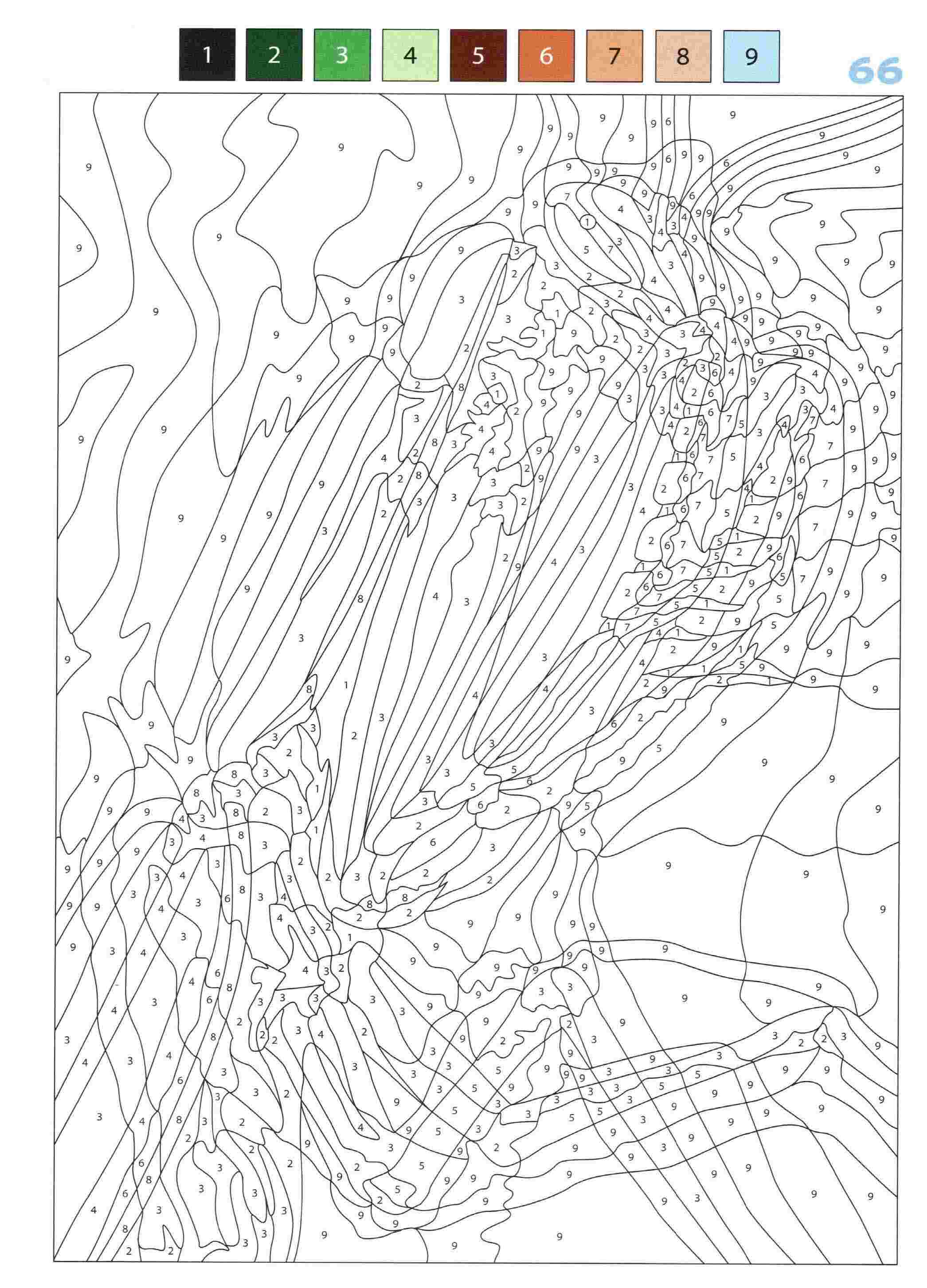 Раскраска Животные по номерам 66