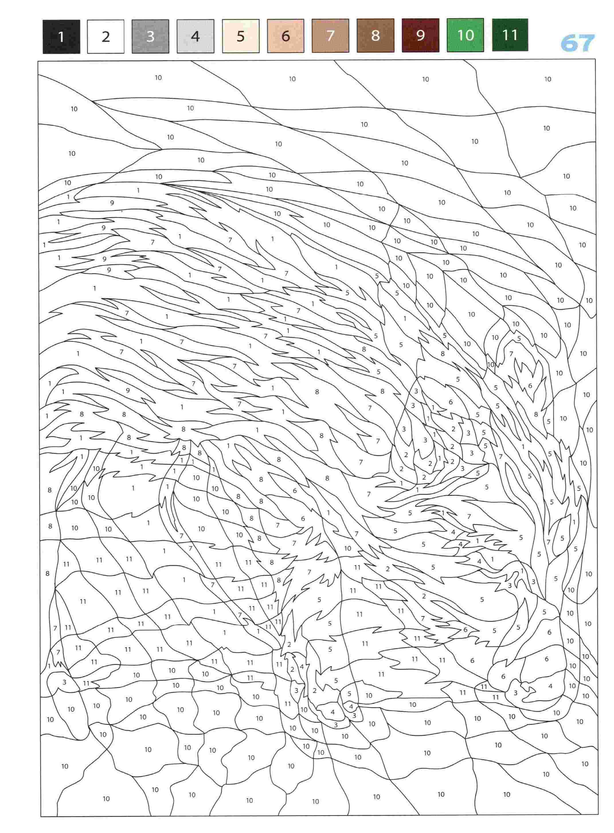 Раскраска Животные по номерам 67