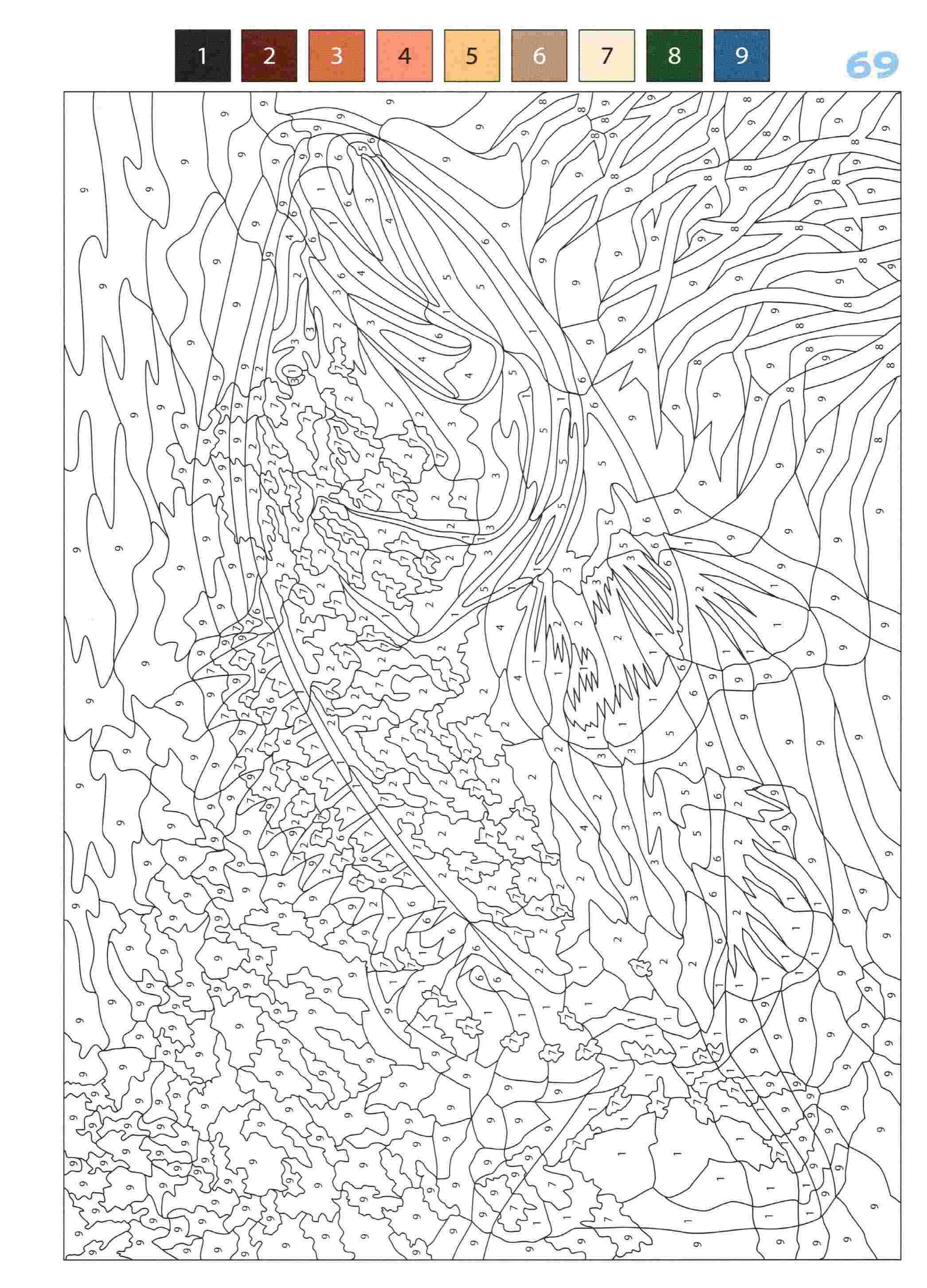 Раскраска Животные по номерам 69