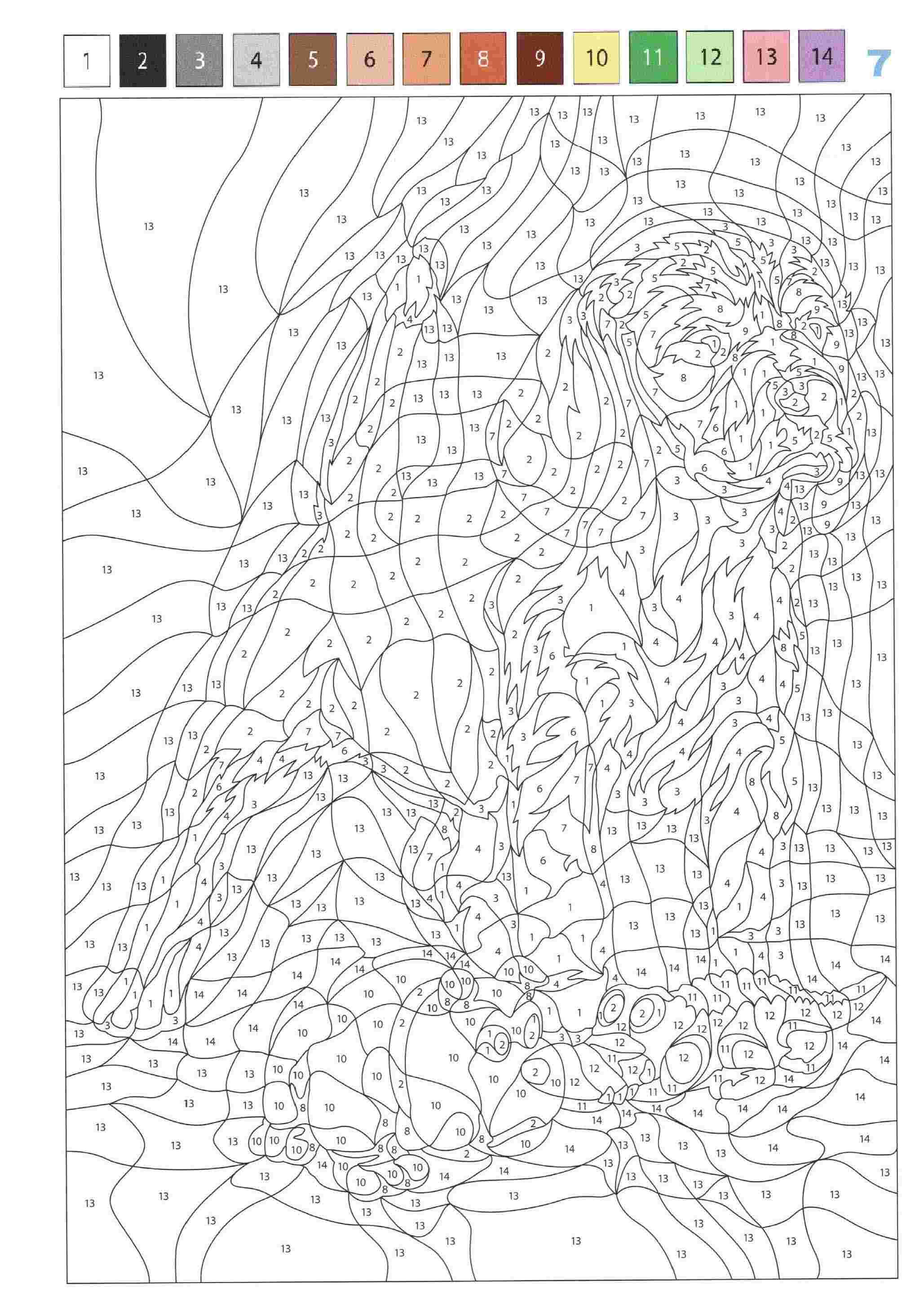 Раскраска Животные по номерам 7