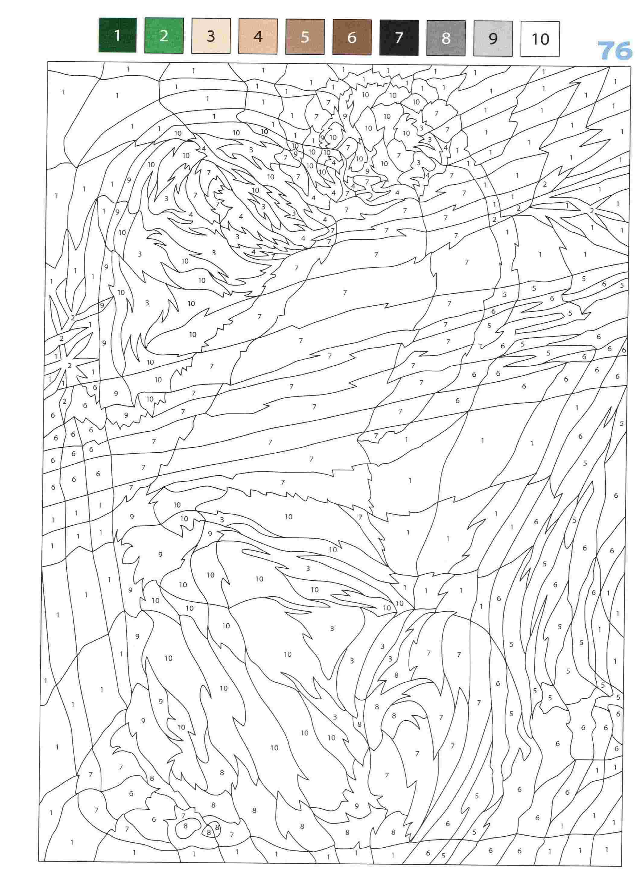 Раскраска Животные по номерам 76