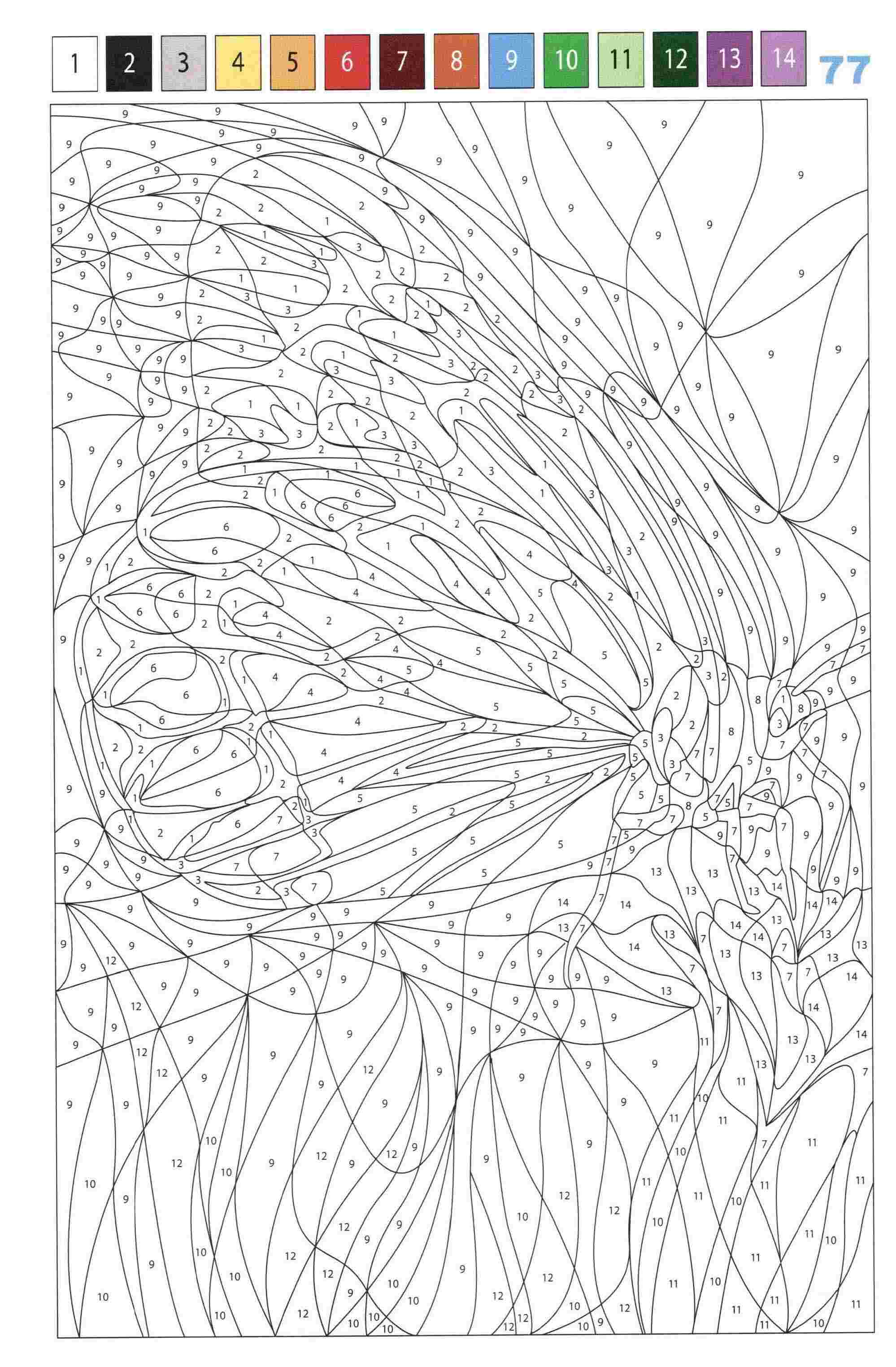 Раскраска Животные по номерам 77