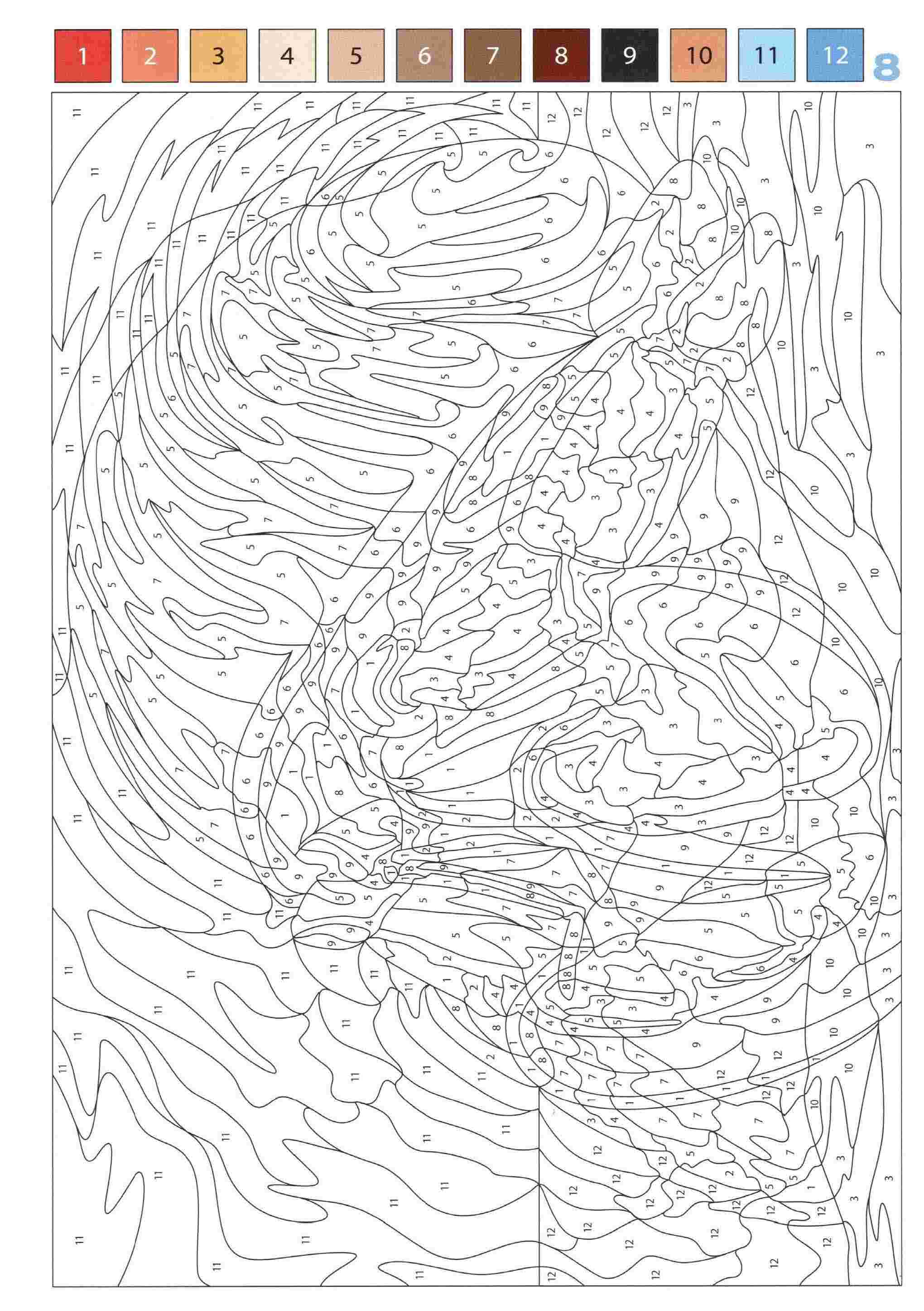 Раскраска Животные по номерам 8