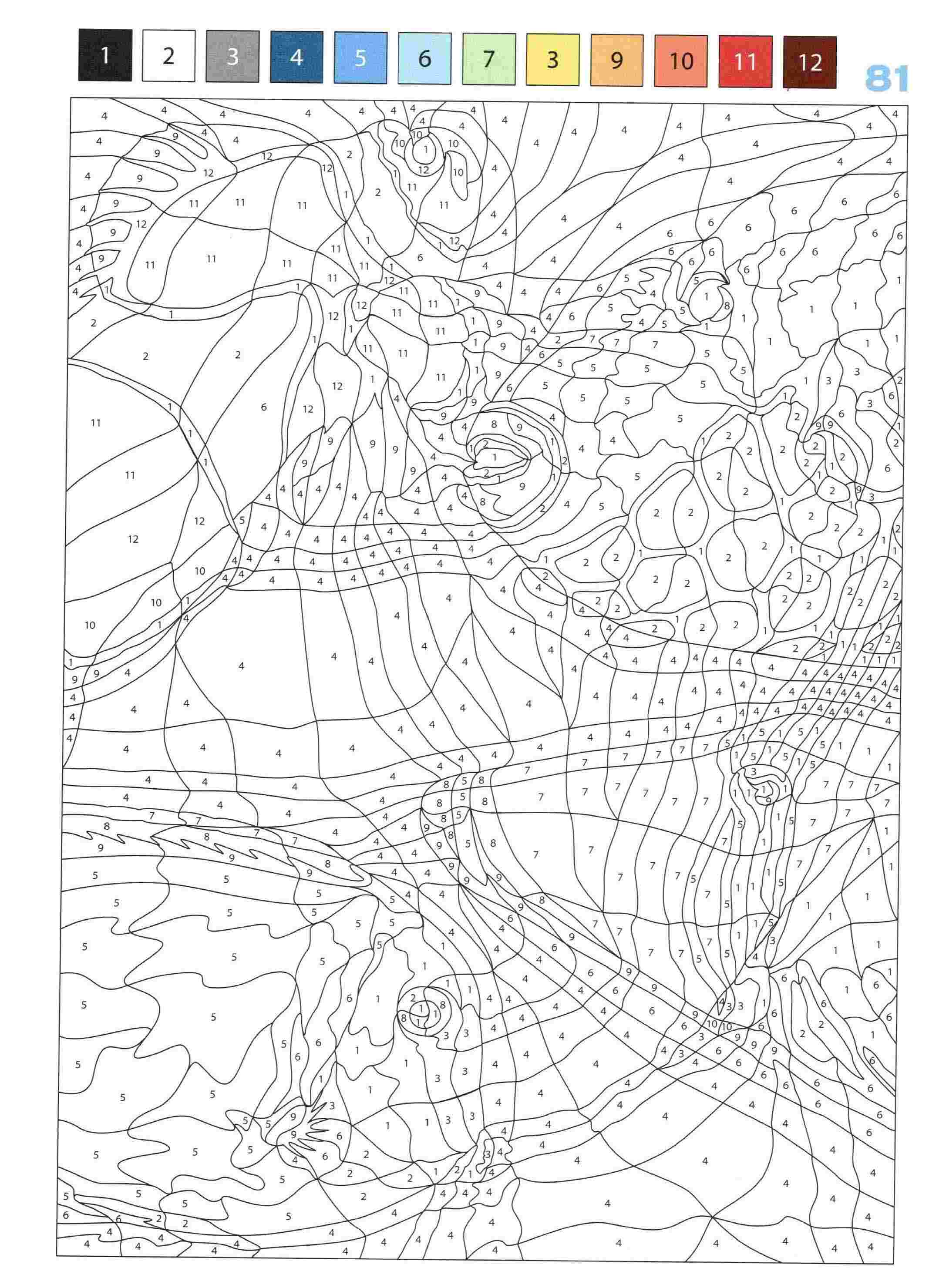 Раскраска Животные по номерам 81