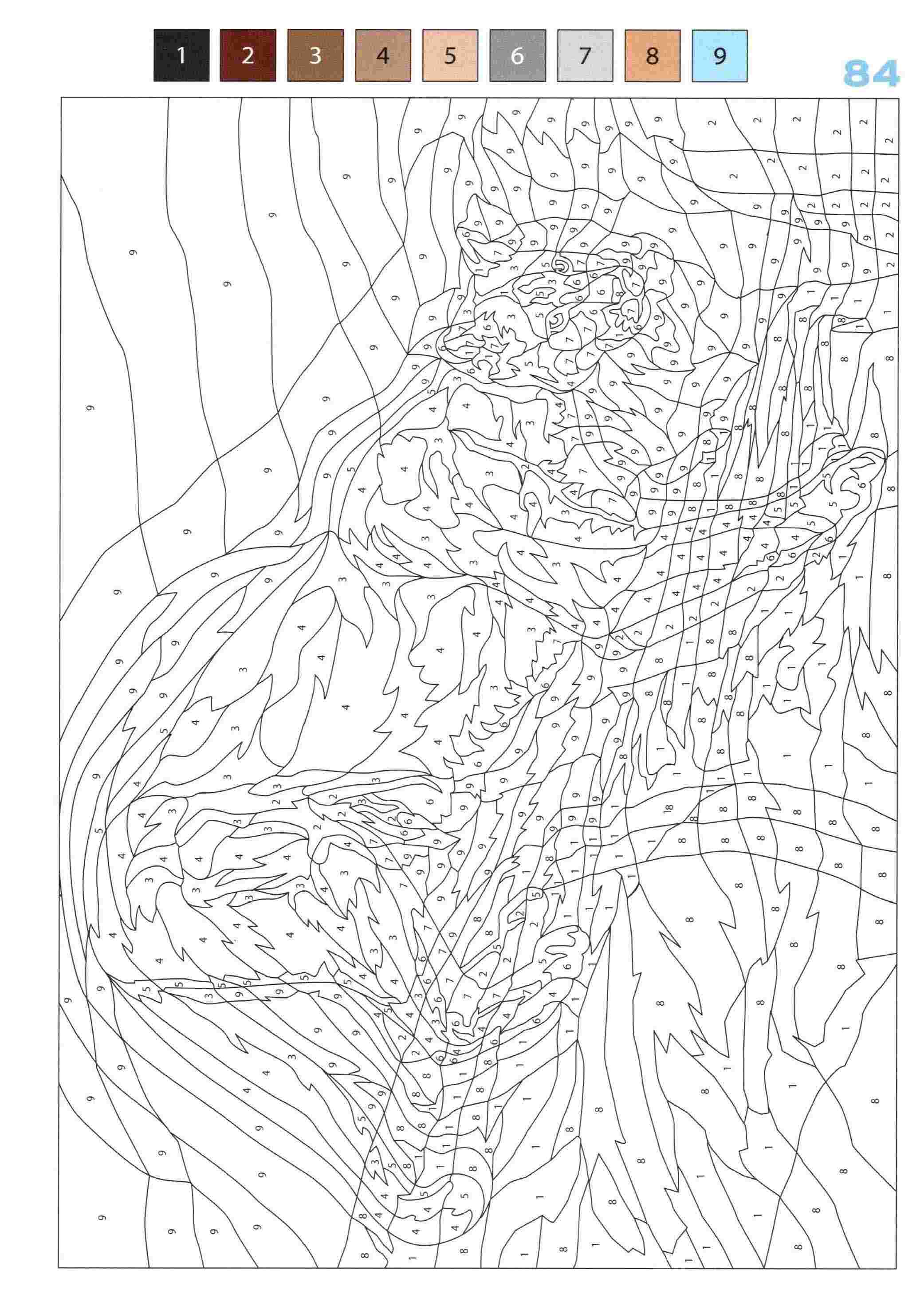 Раскраска Животные по номерам 84