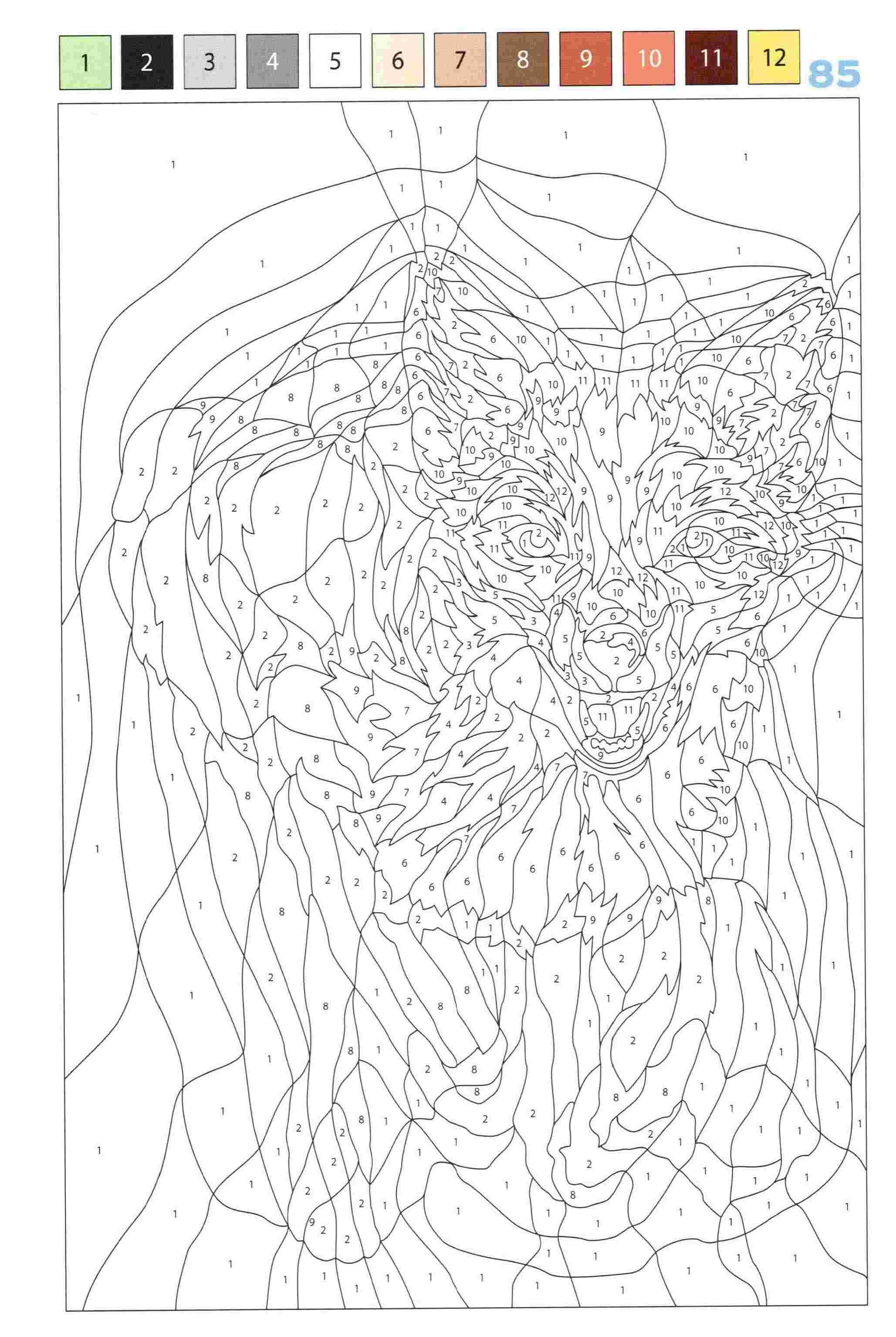 Раскраска Животные по номерам 85