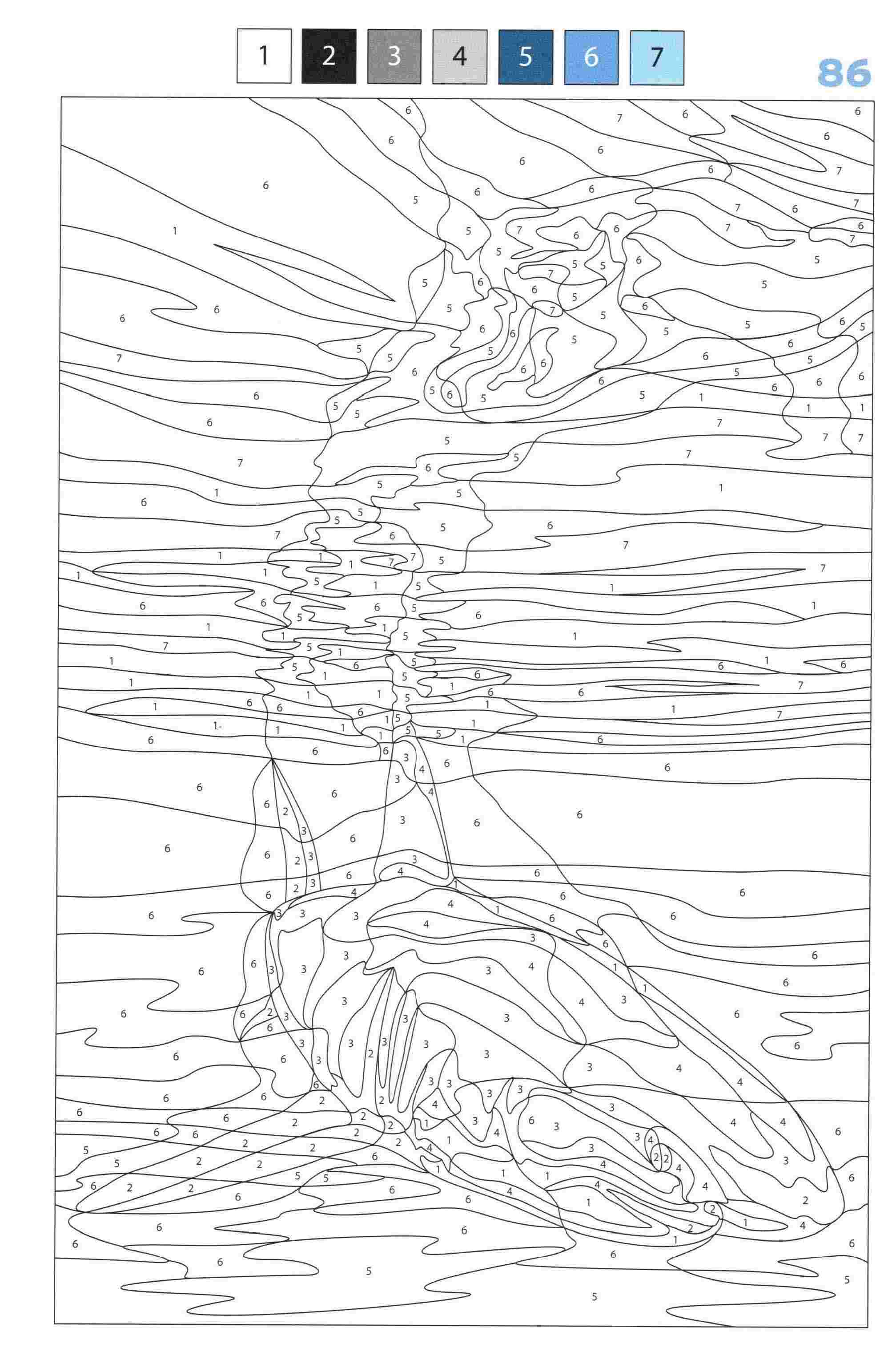 Раскраска Животные по номерам 86