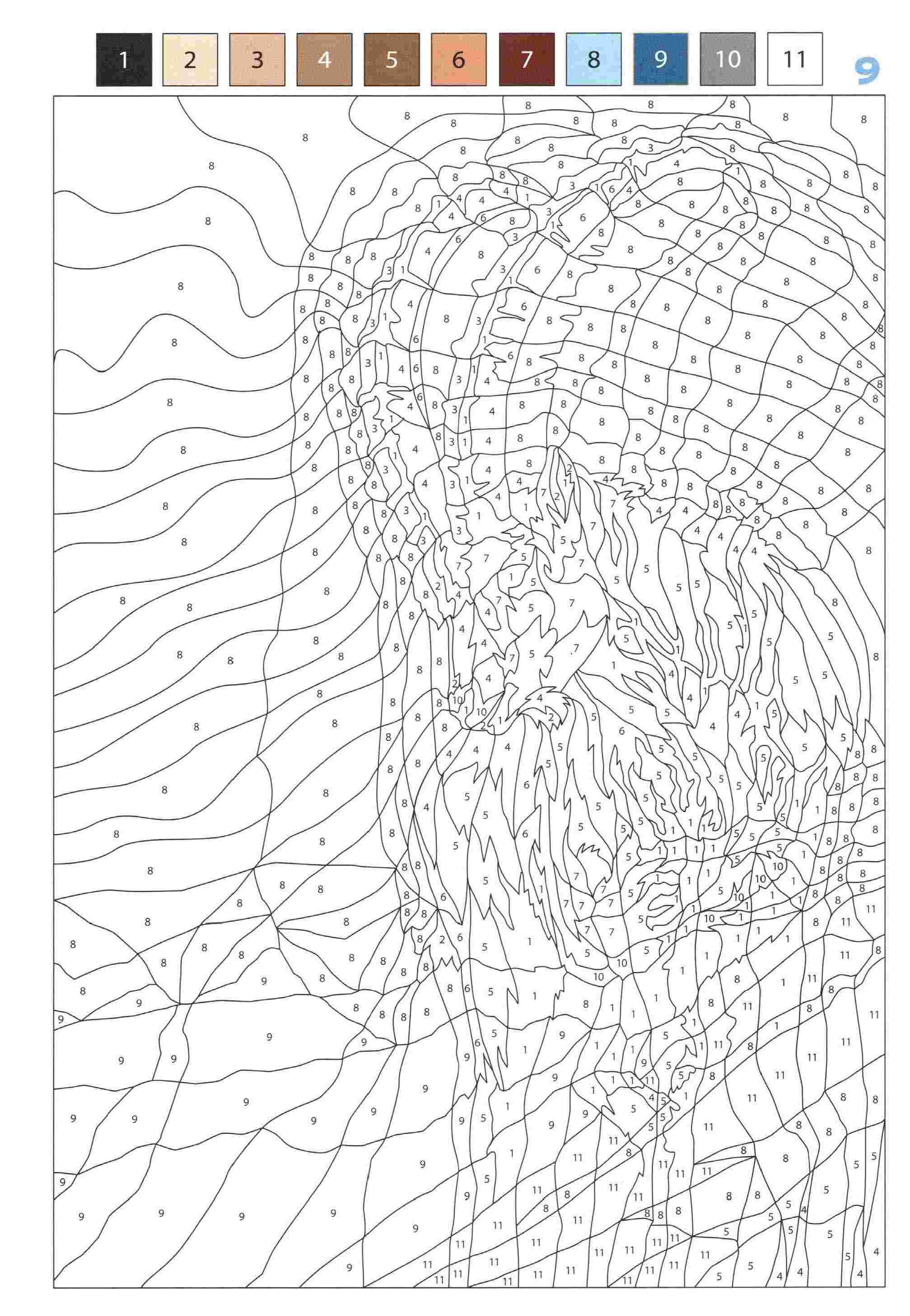 Раскраска Животные по номерам 9