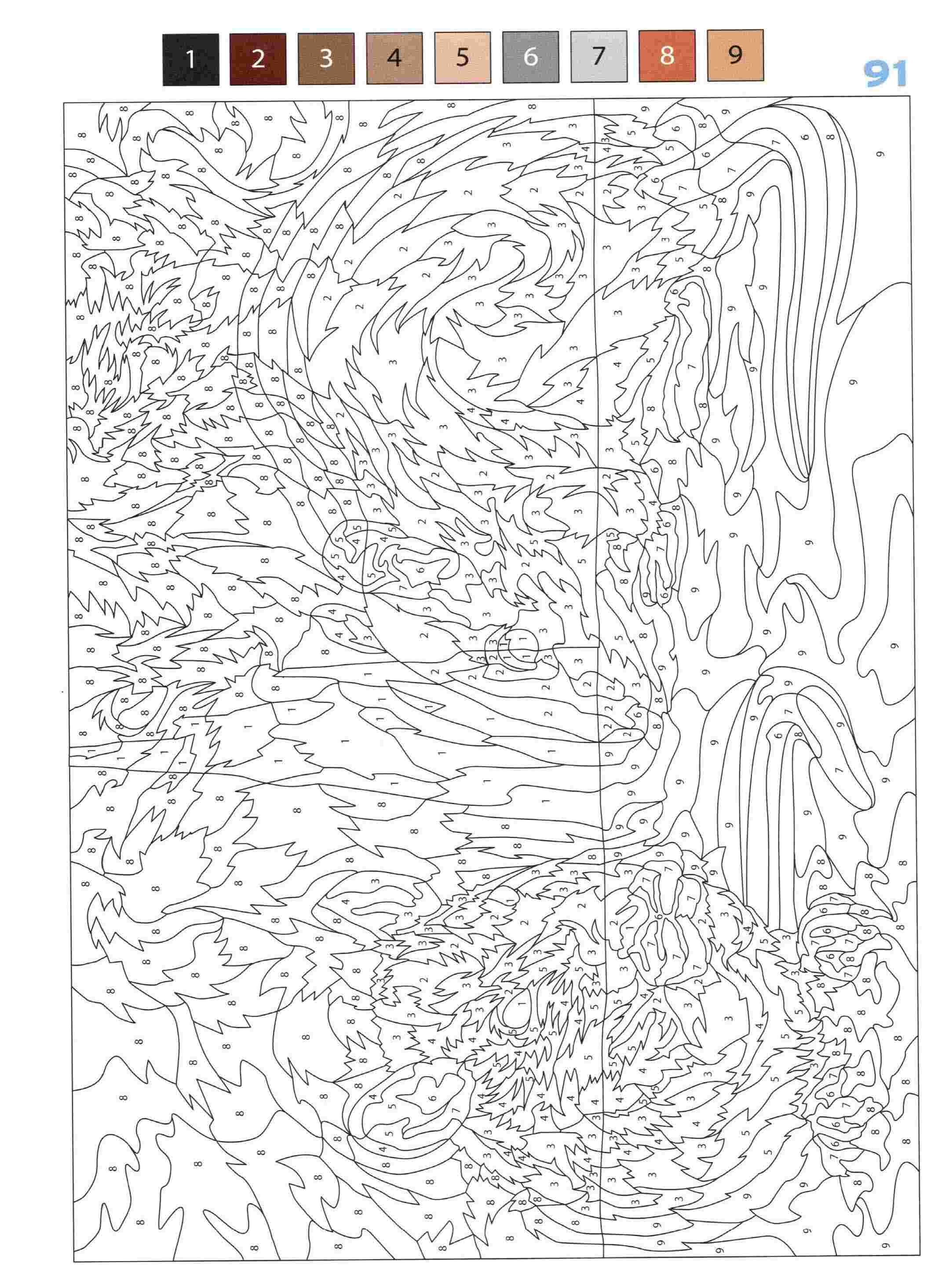 Раскраска Животные по номерам 91