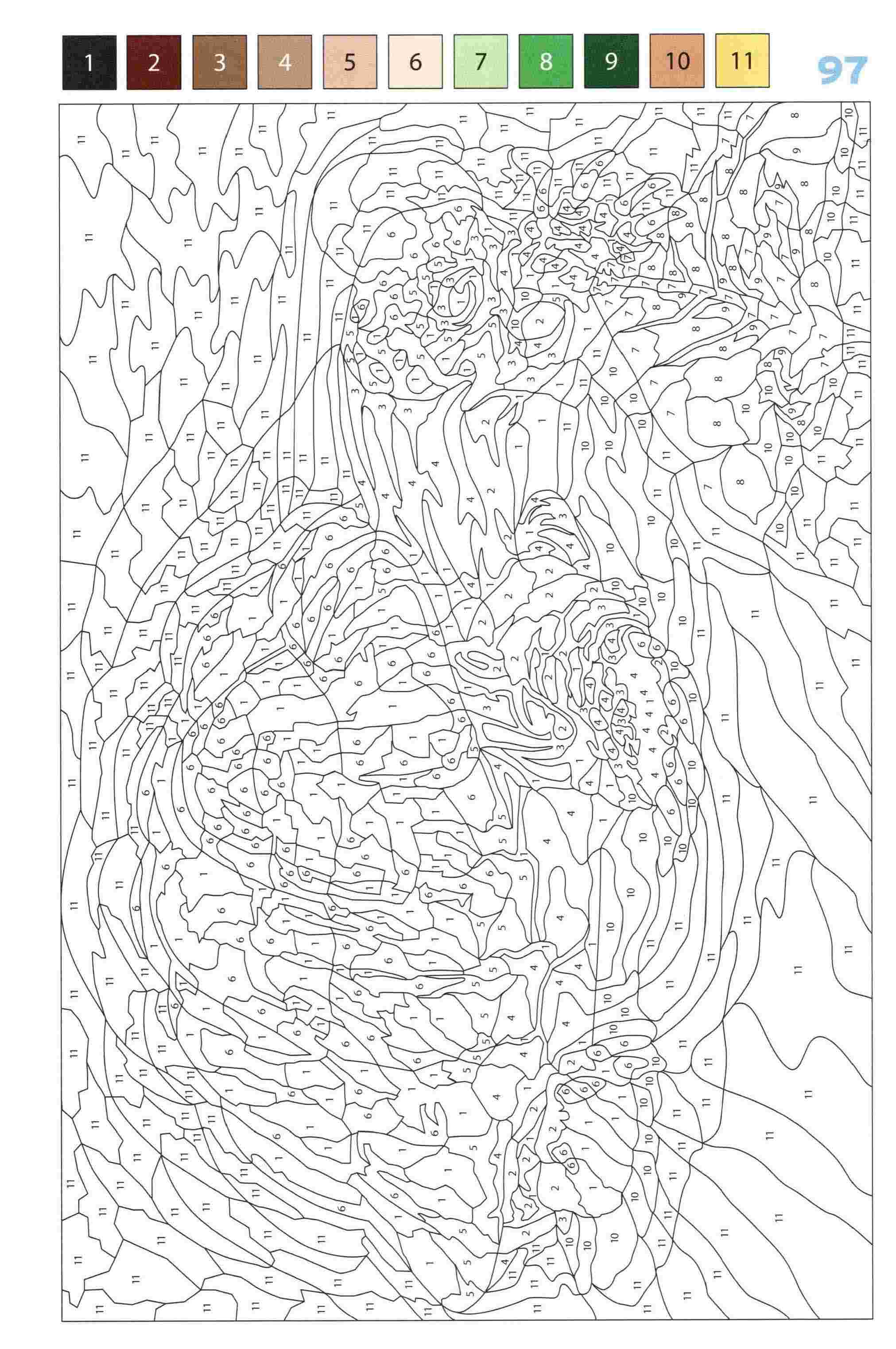 Раскраска Животные по номерам 97