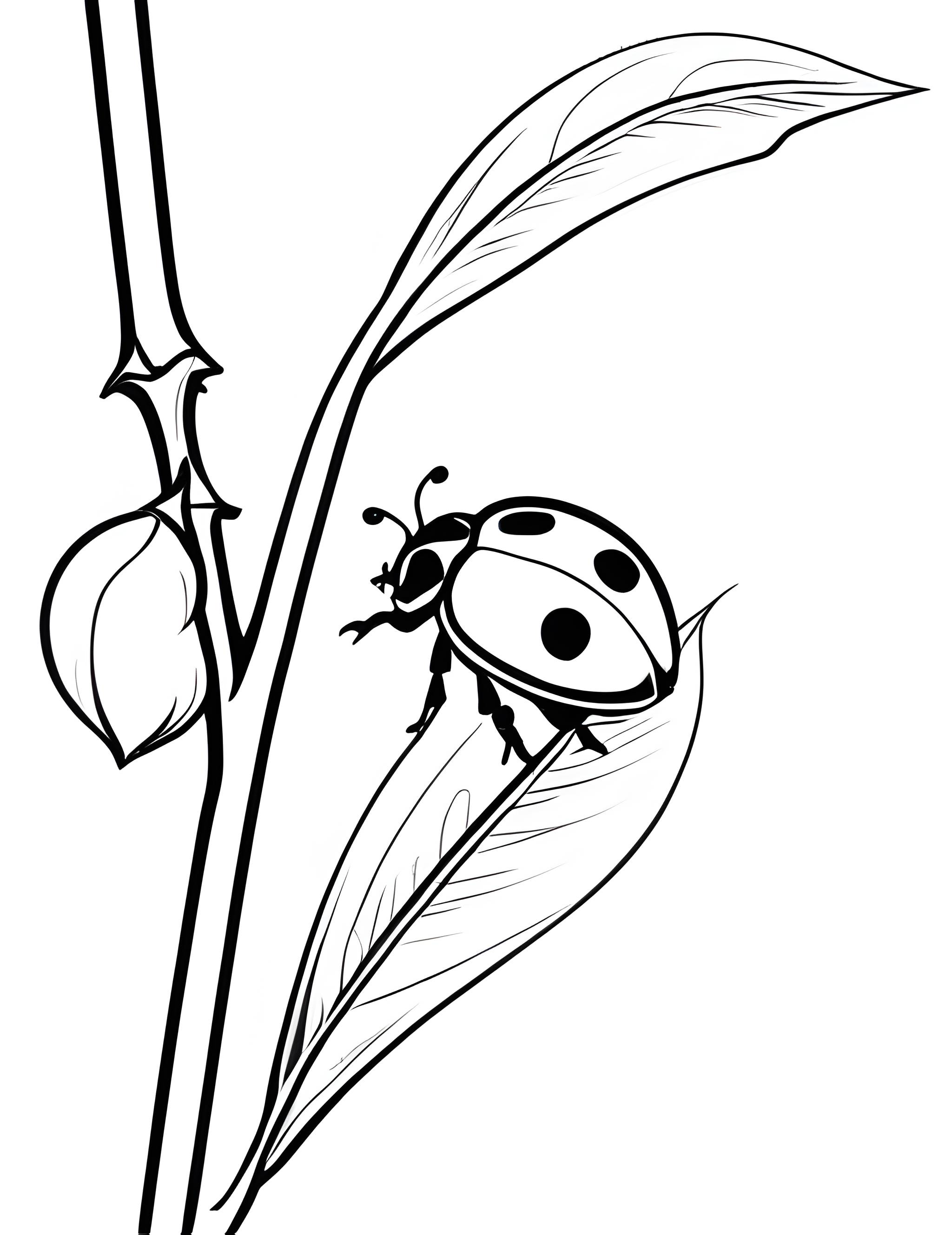 Раскраска Божья коровка на веточке с почками