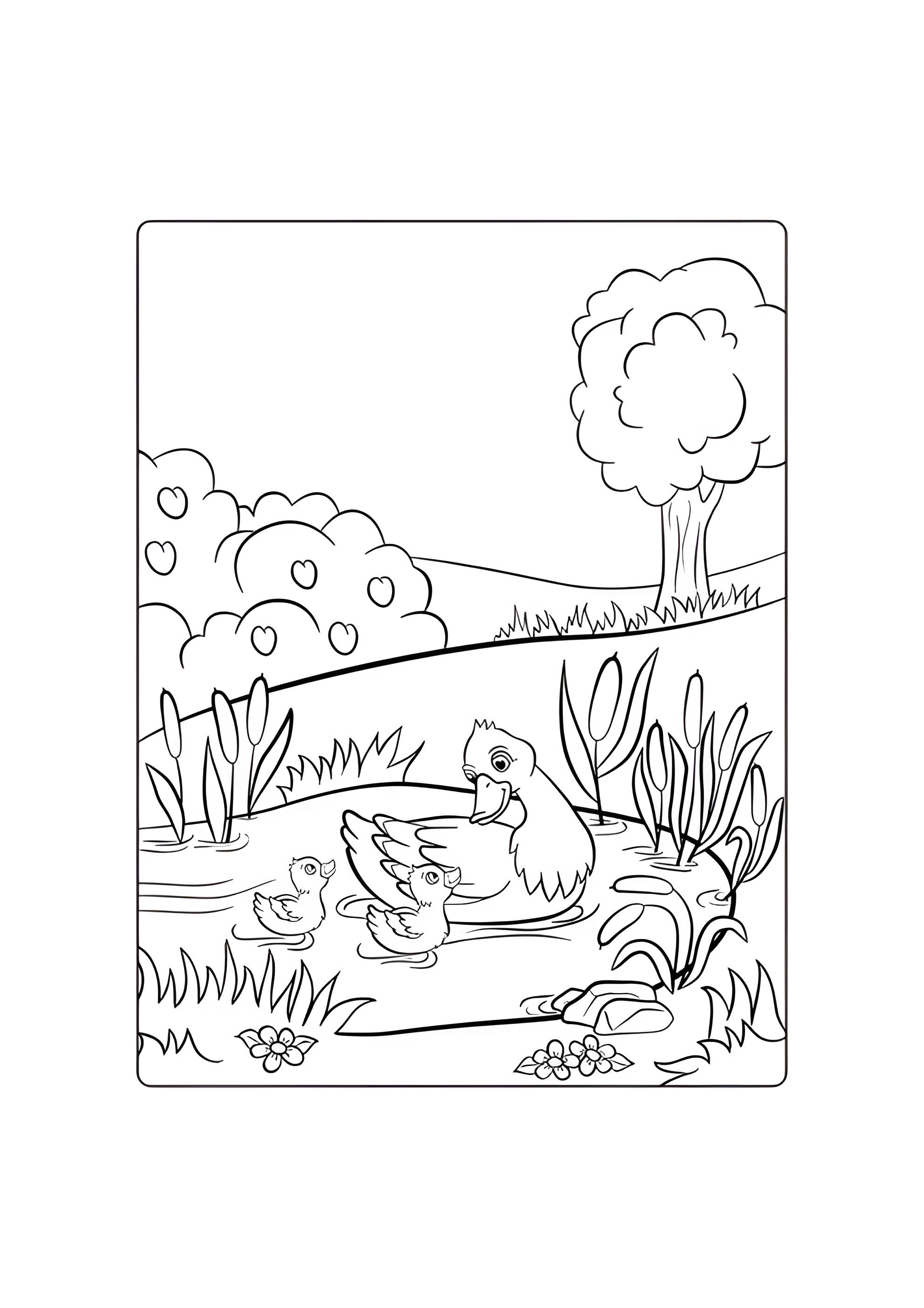 Раскраска Мама уточка с утятами весной