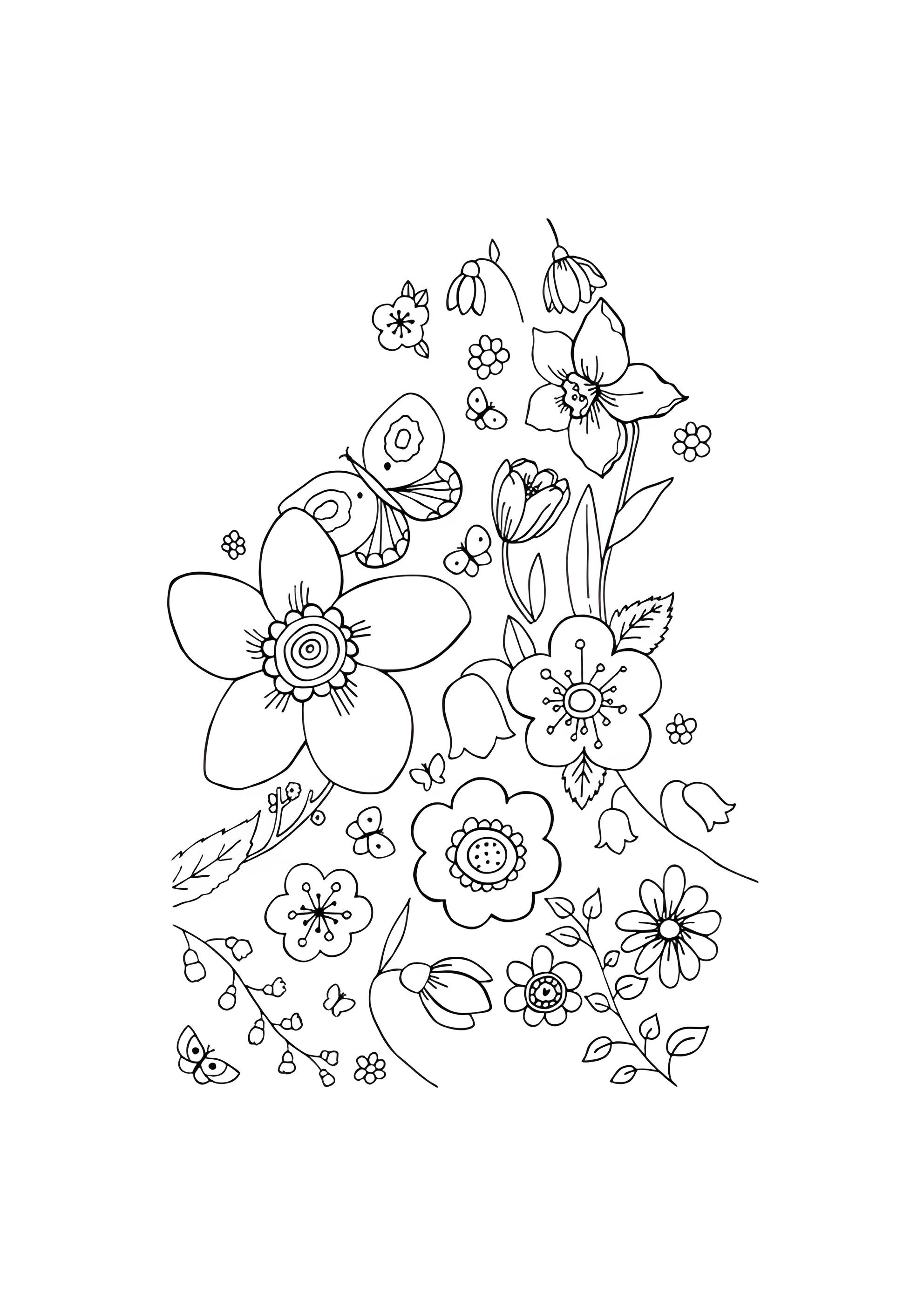 Раскраска Первые весенние цветы