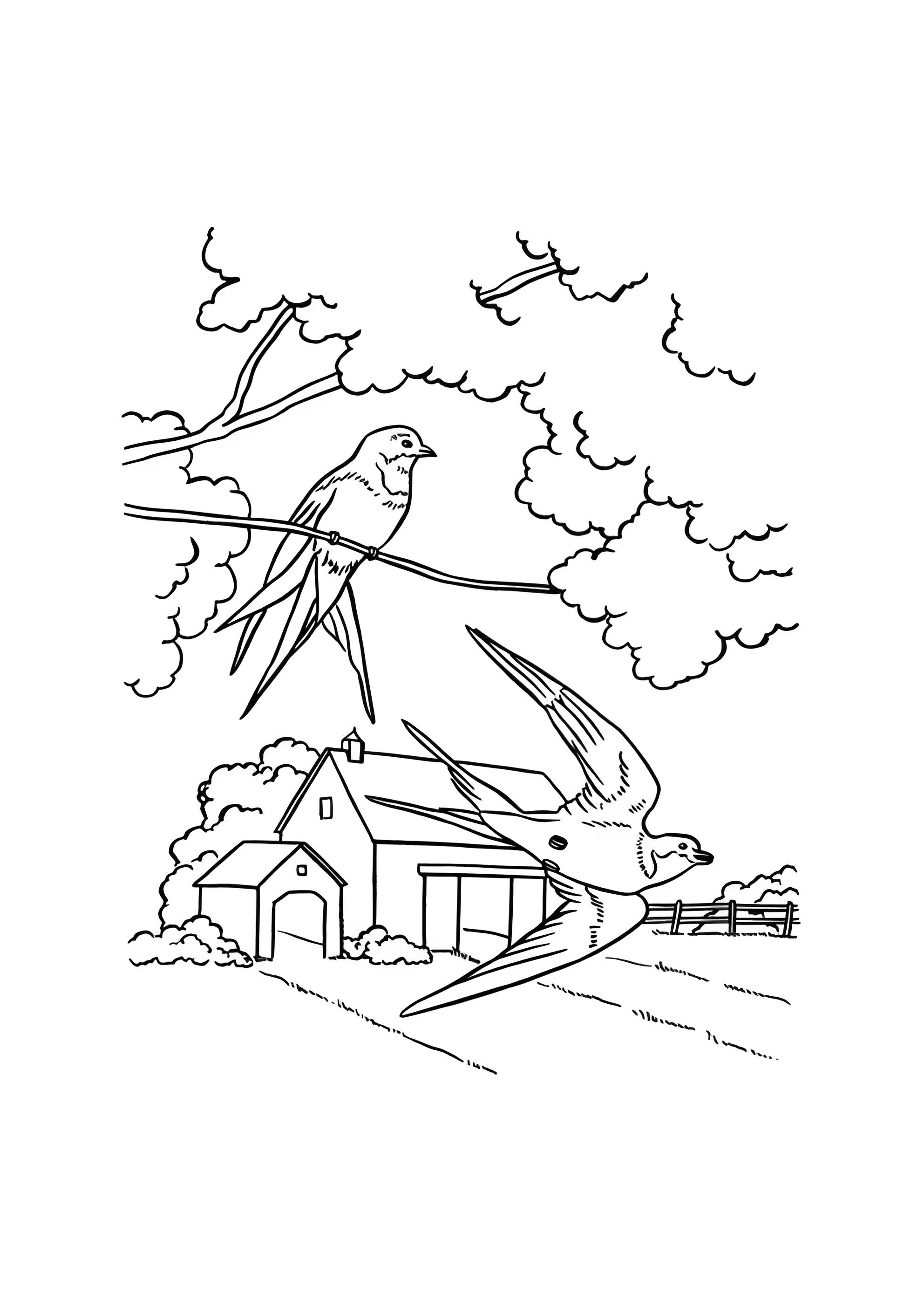 Раскраска Прилет птиц