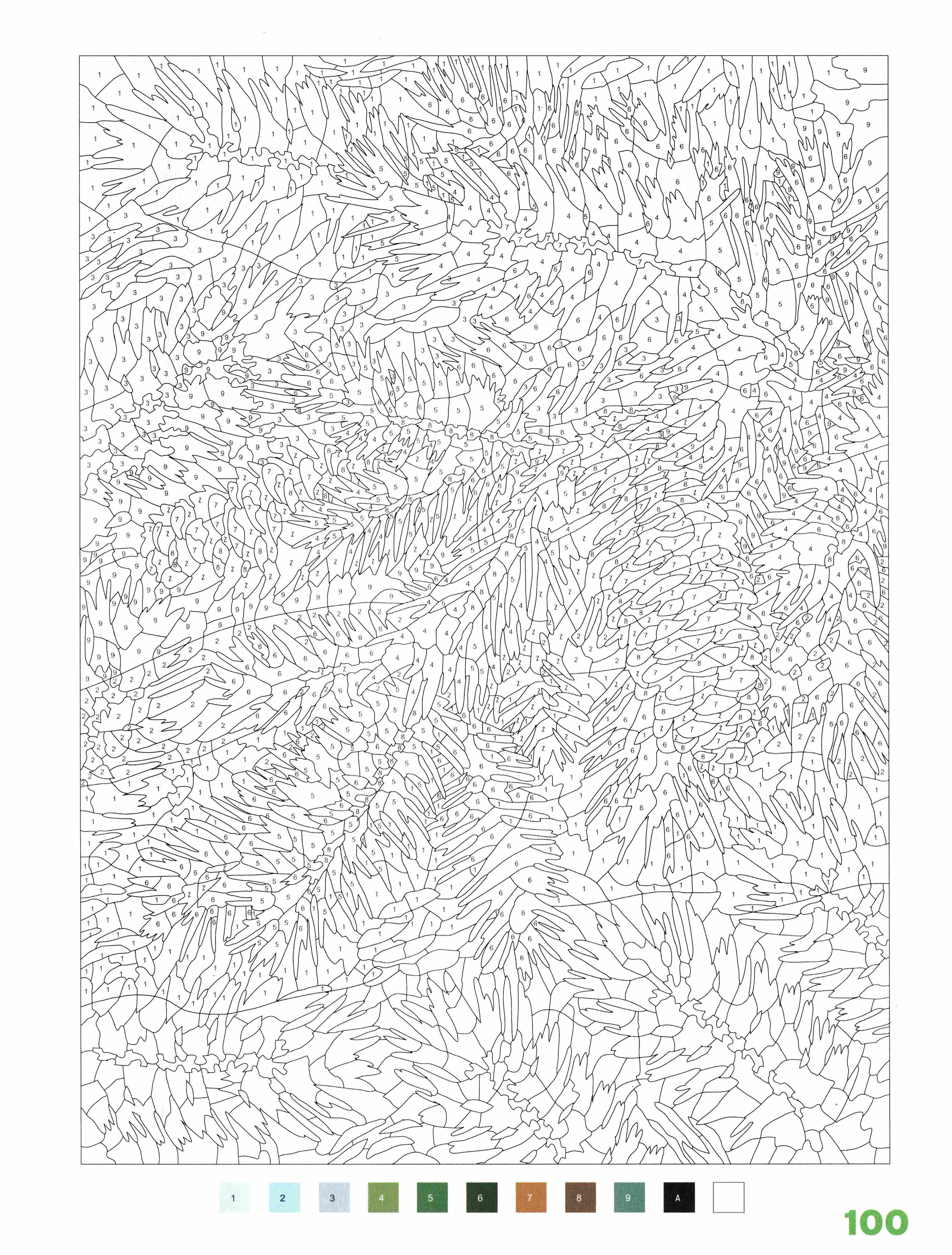 Раскраска Природа по номерам 100