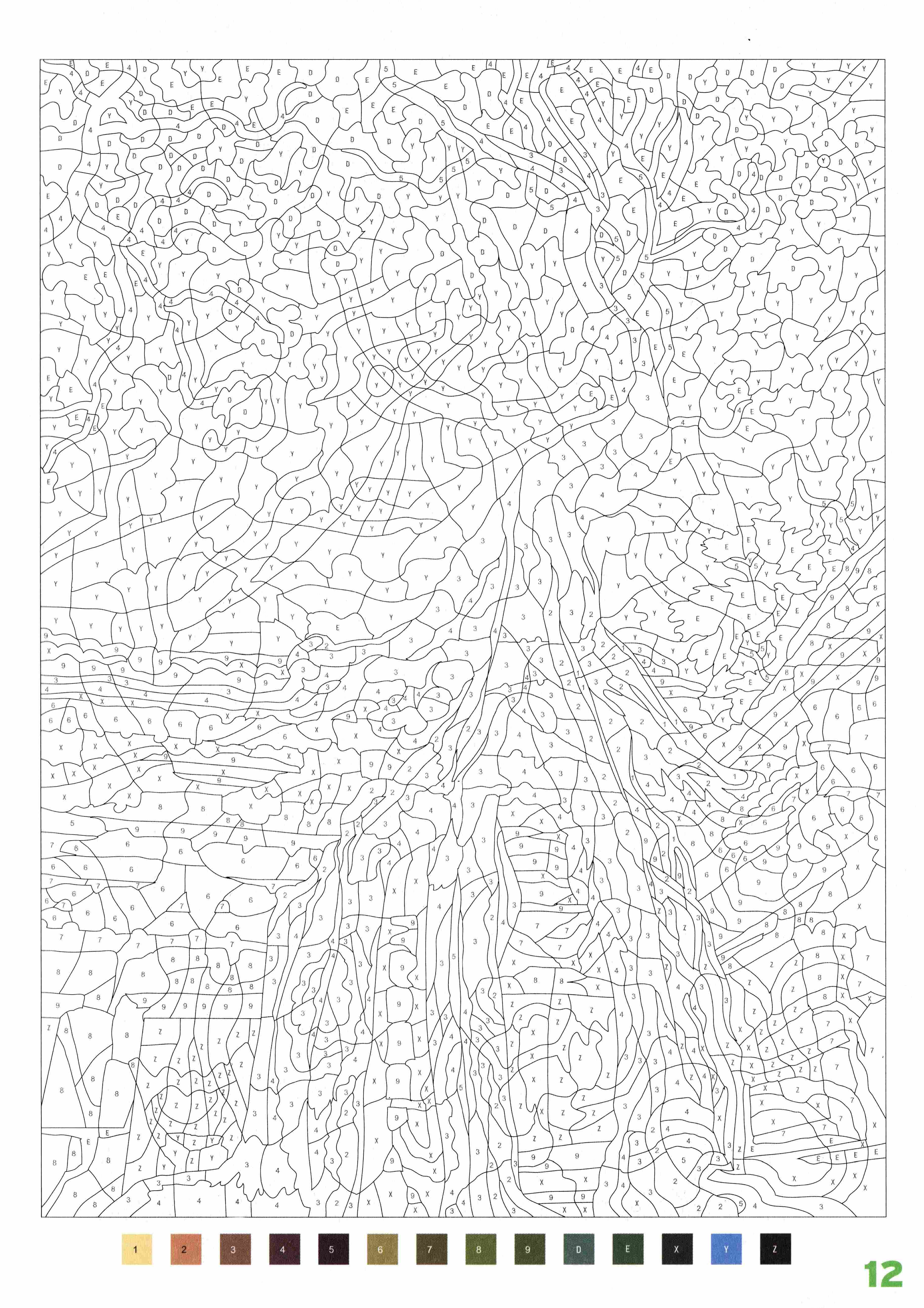 Раскраска Природа по номерам 12