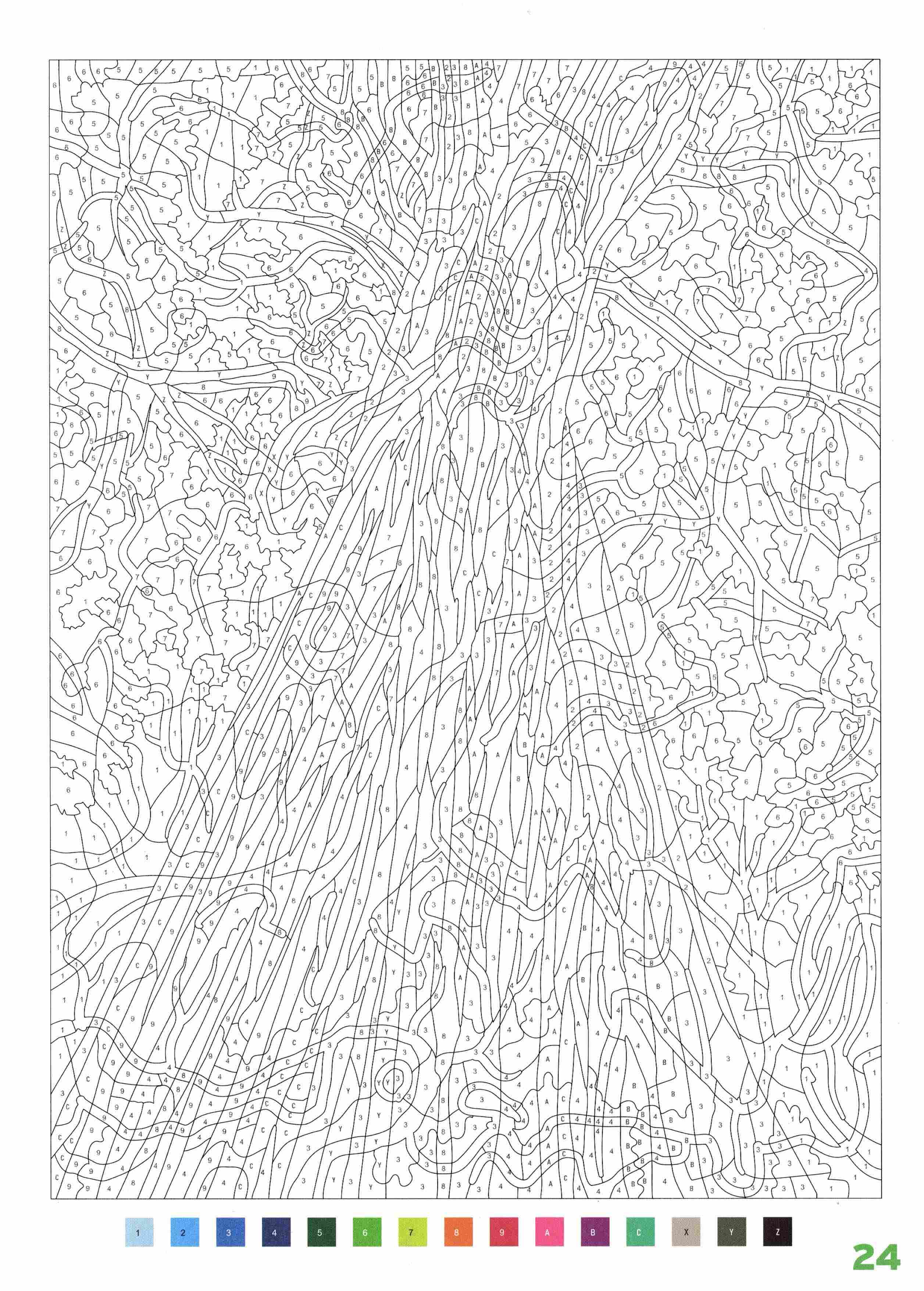 Раскраска Природа по номерам 24