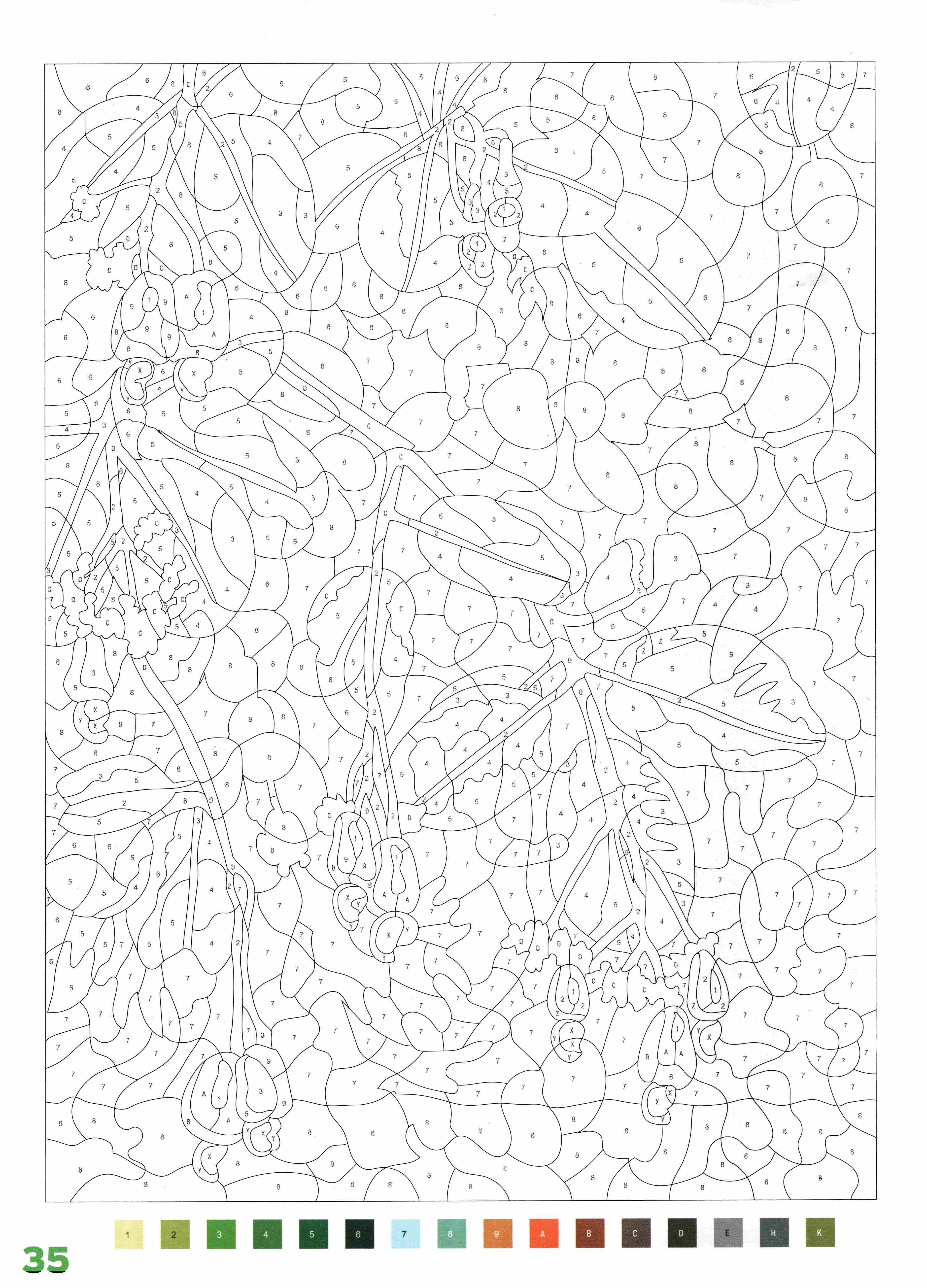 Раскраска Природа по номерам 35