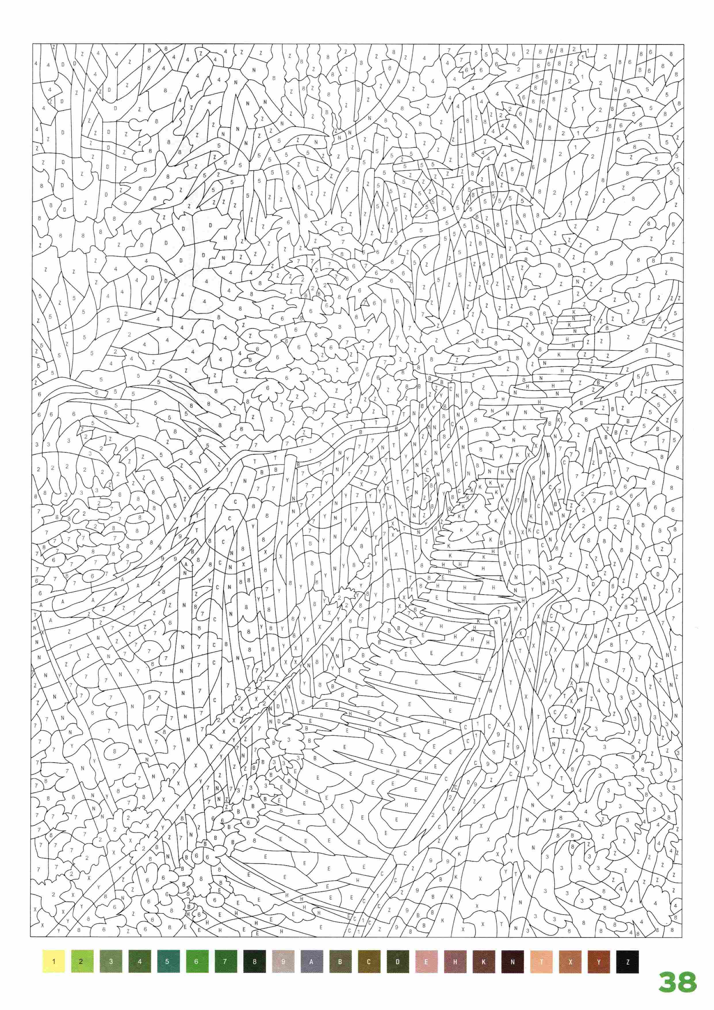 Раскраска Природа по номерам 38