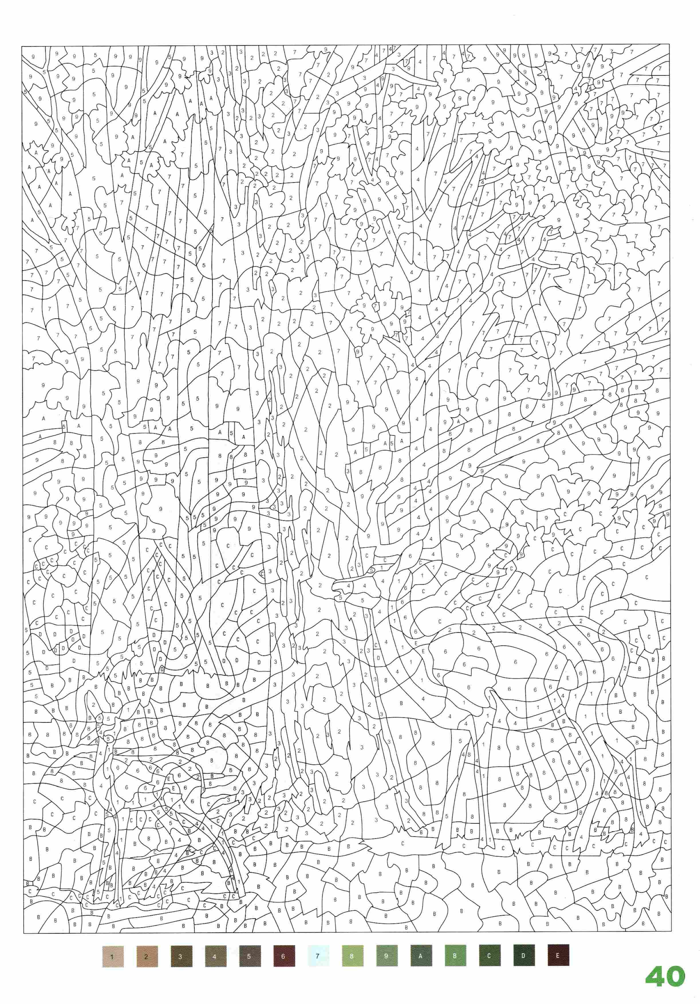 Раскраска Природа по номерам 40