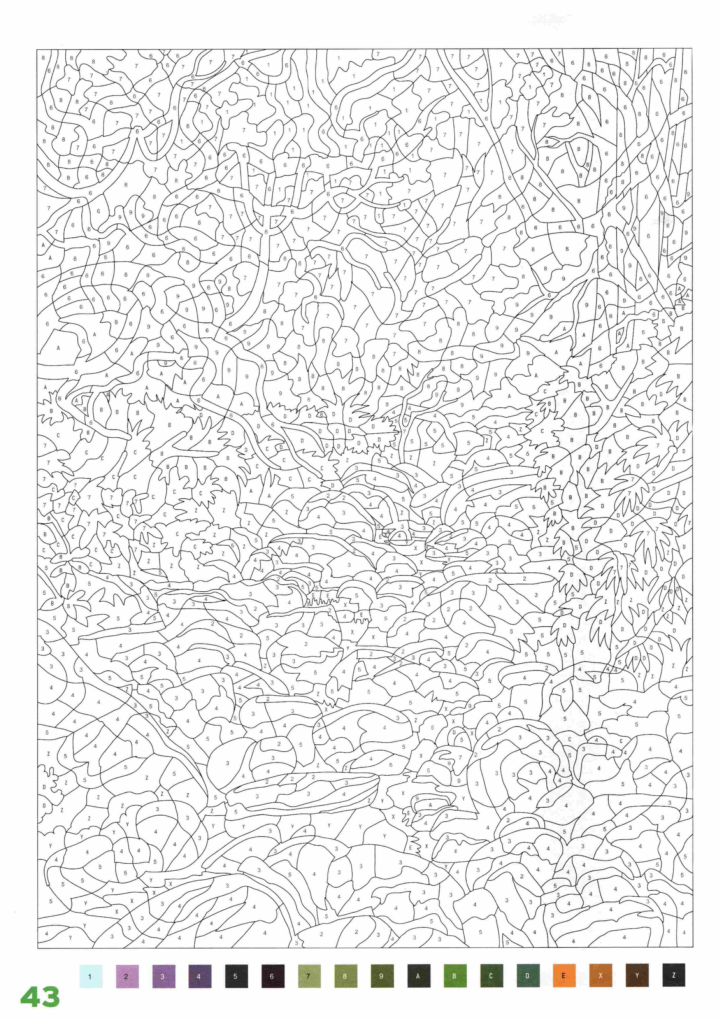 Раскраска Природа по номерам 43