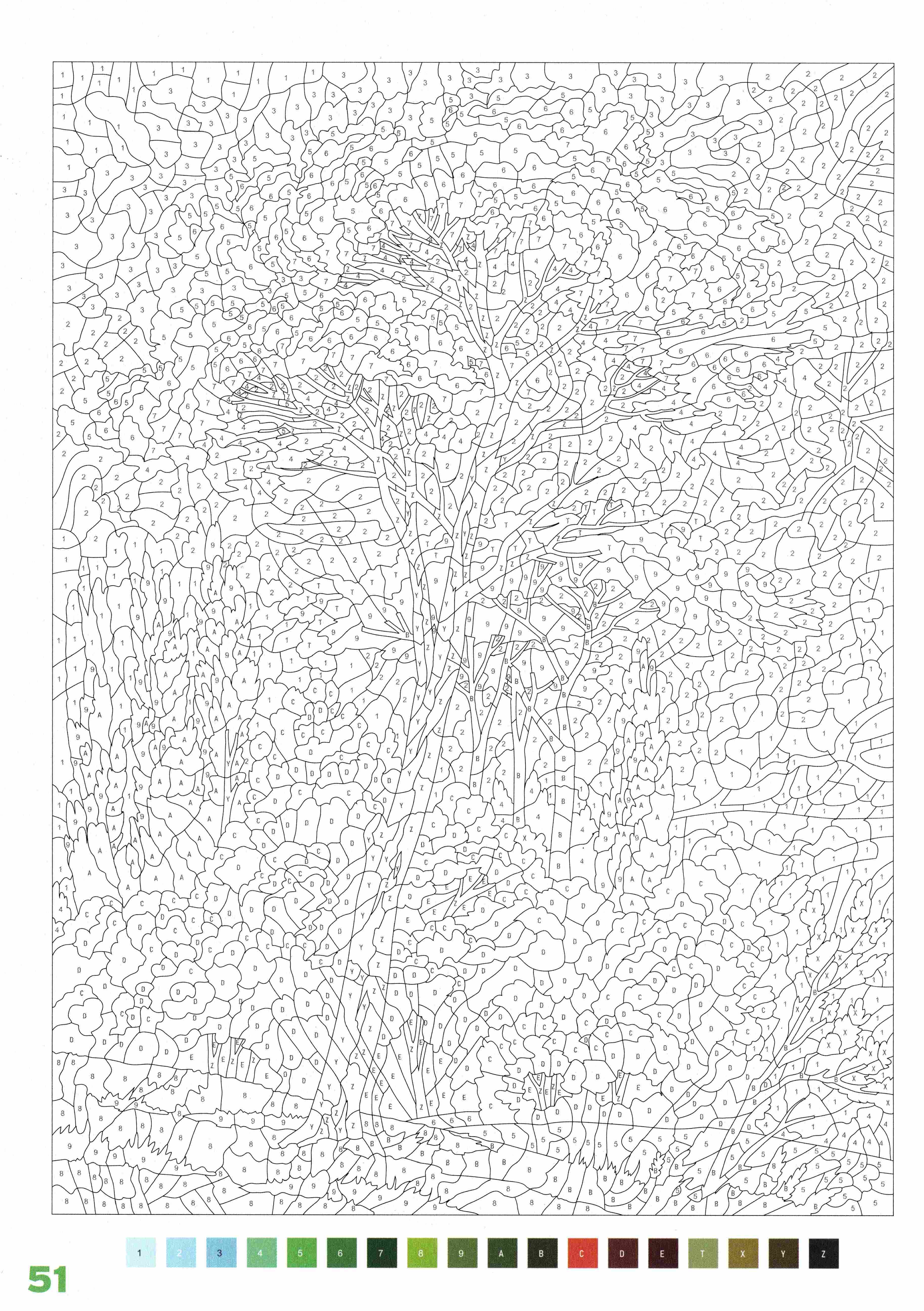 Раскраска Природа по номерам 51